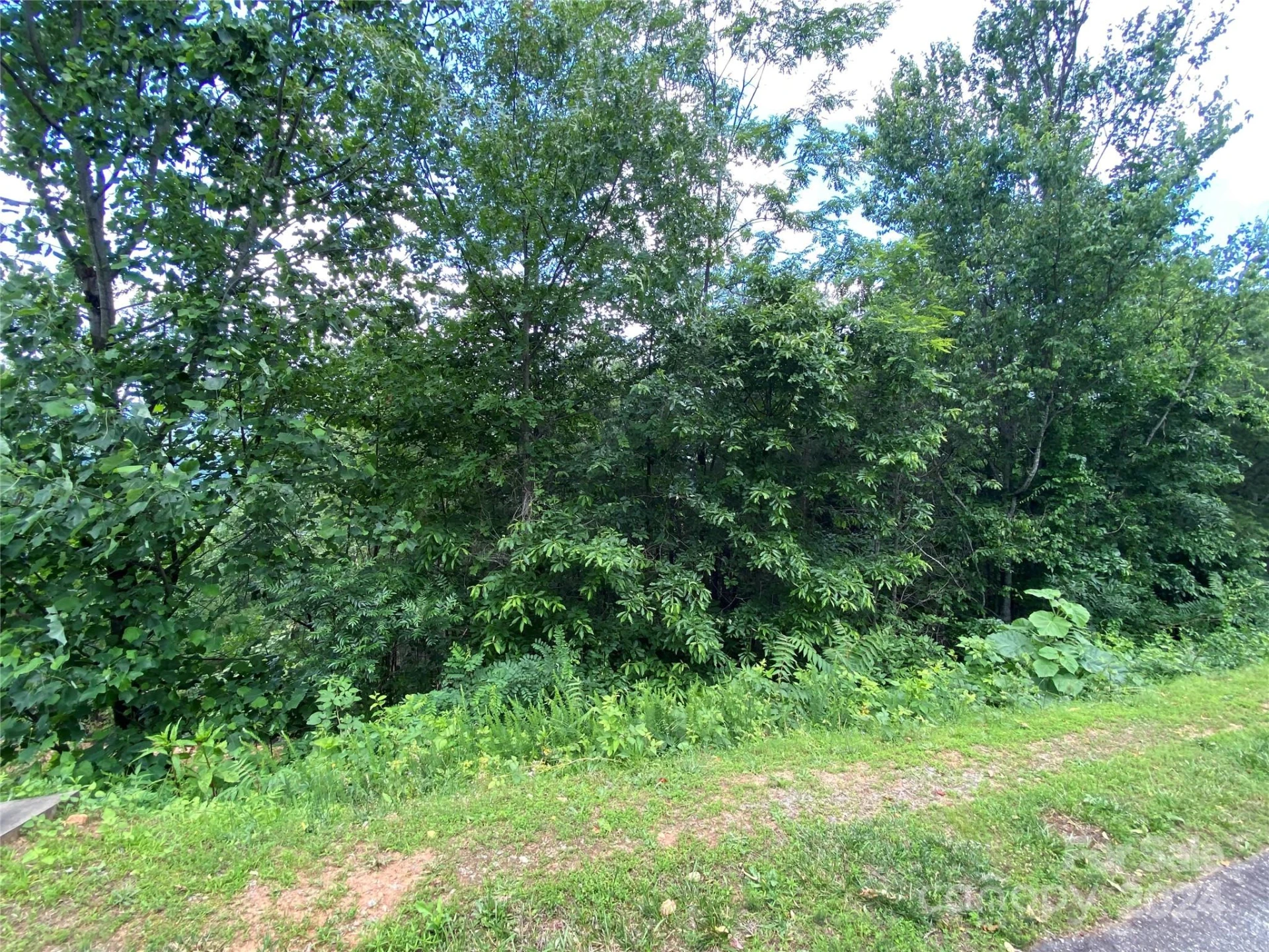 0 Golden Ridge Drive #133 - Photo 4