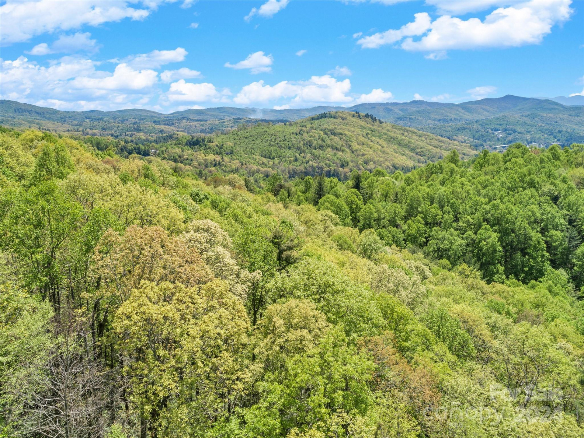 0000 Gouges Creek Road - Photo 6