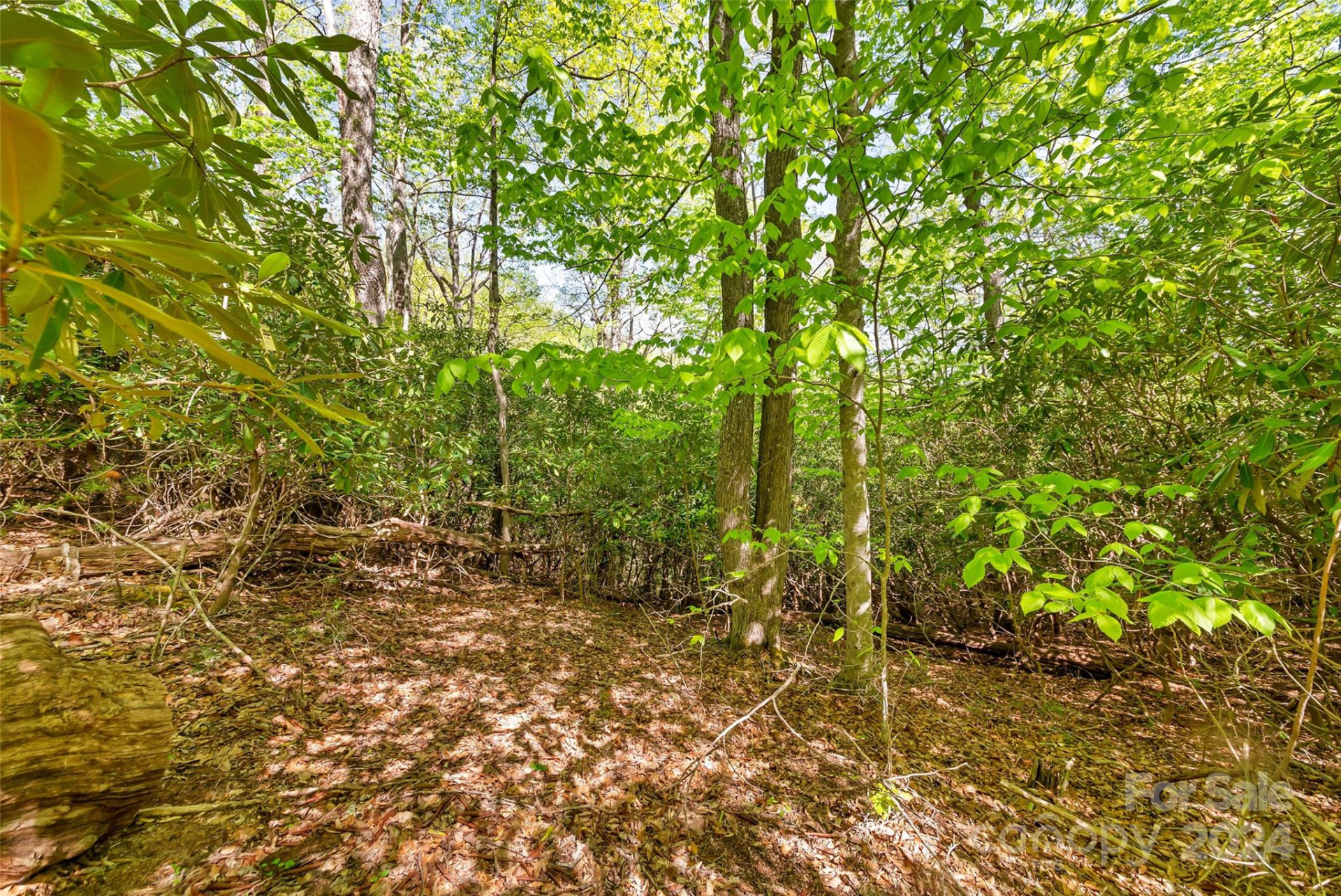 0000 Gouges Creek Road - Photo 9