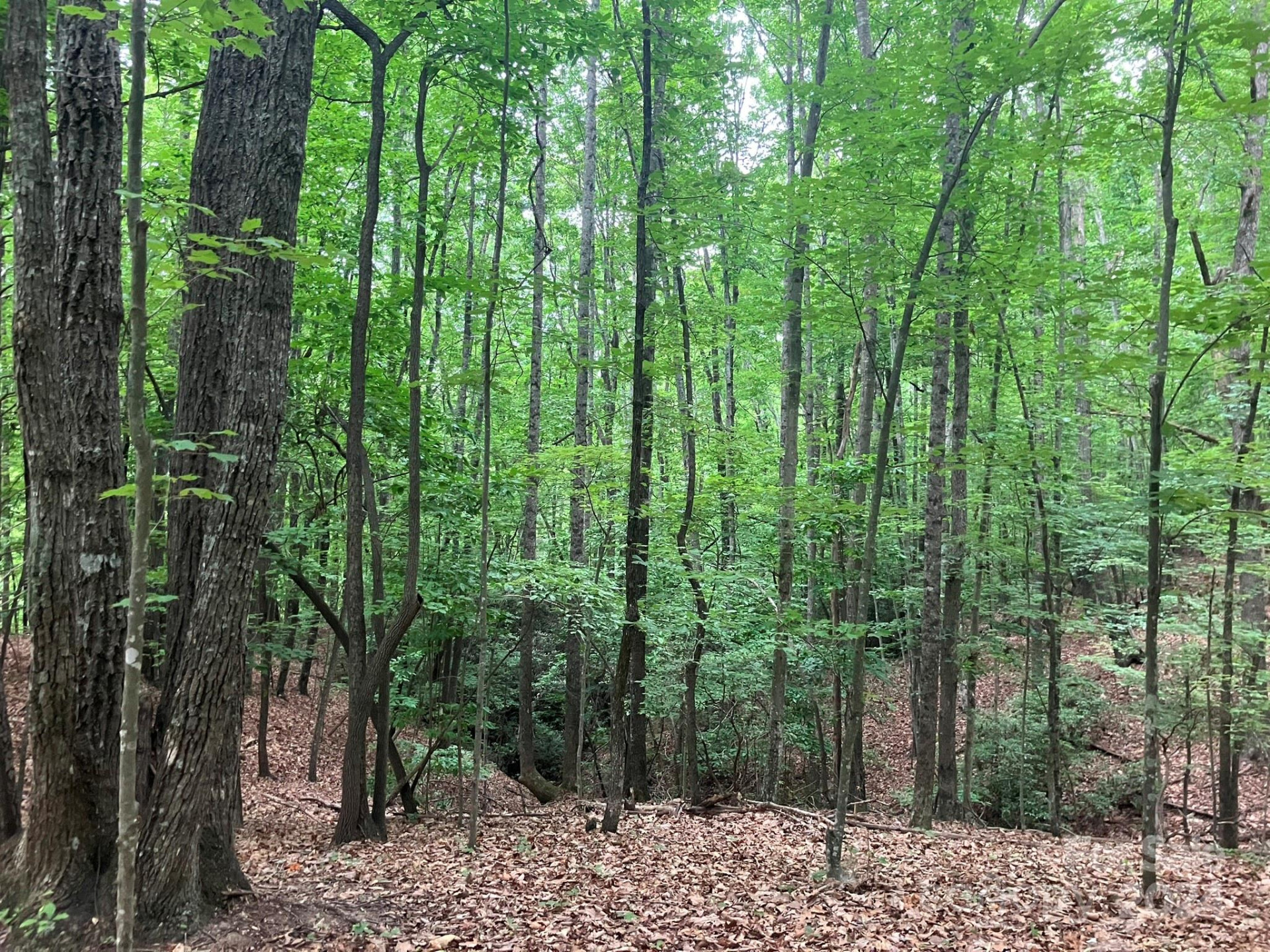 00 Saratoga Drive - Photo 11