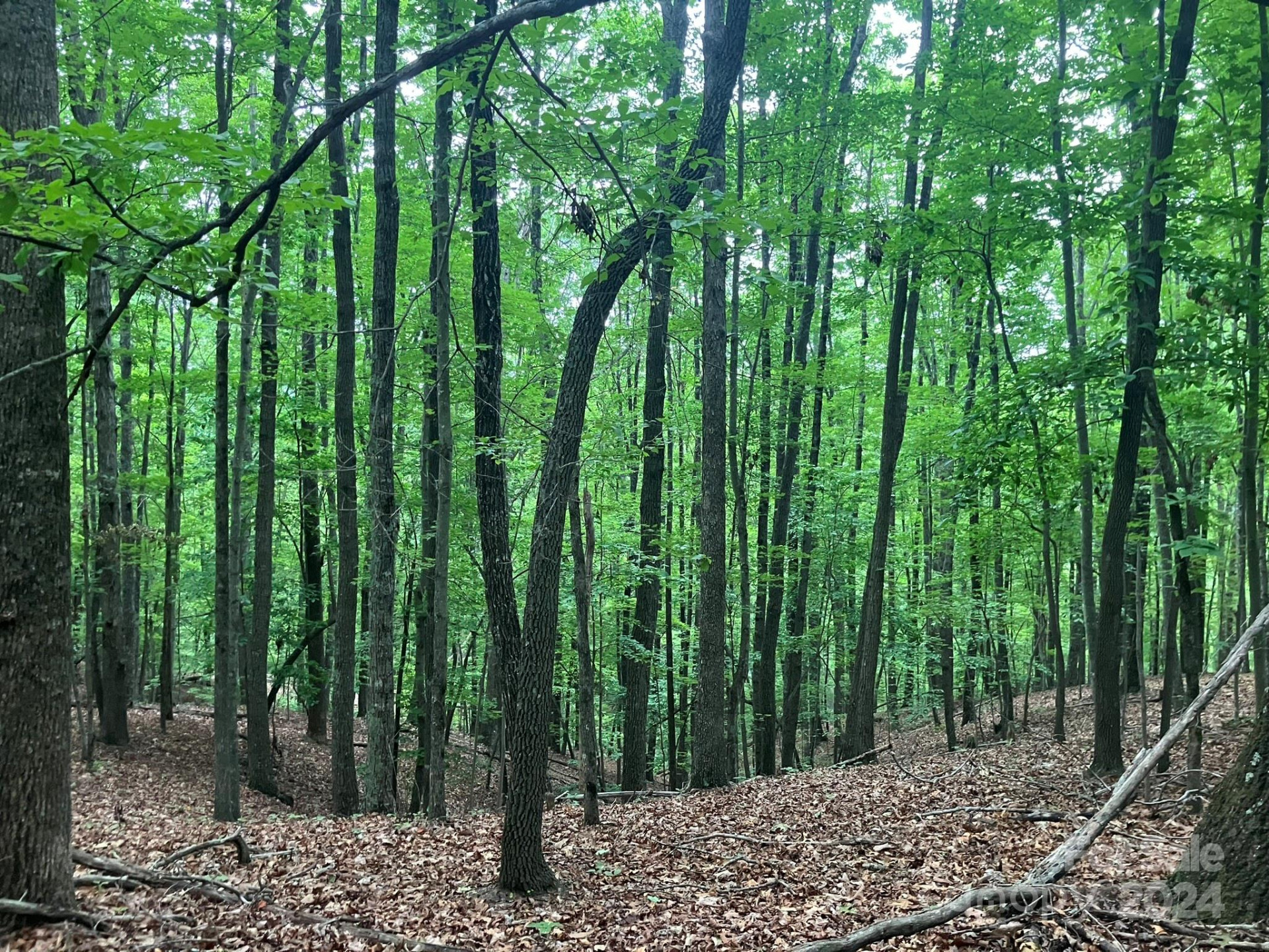 00 Saratoga Drive - Photo 12