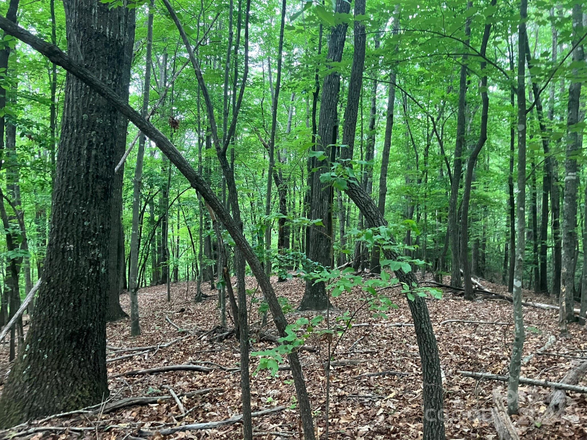 00 Saratoga Drive - Photo 13