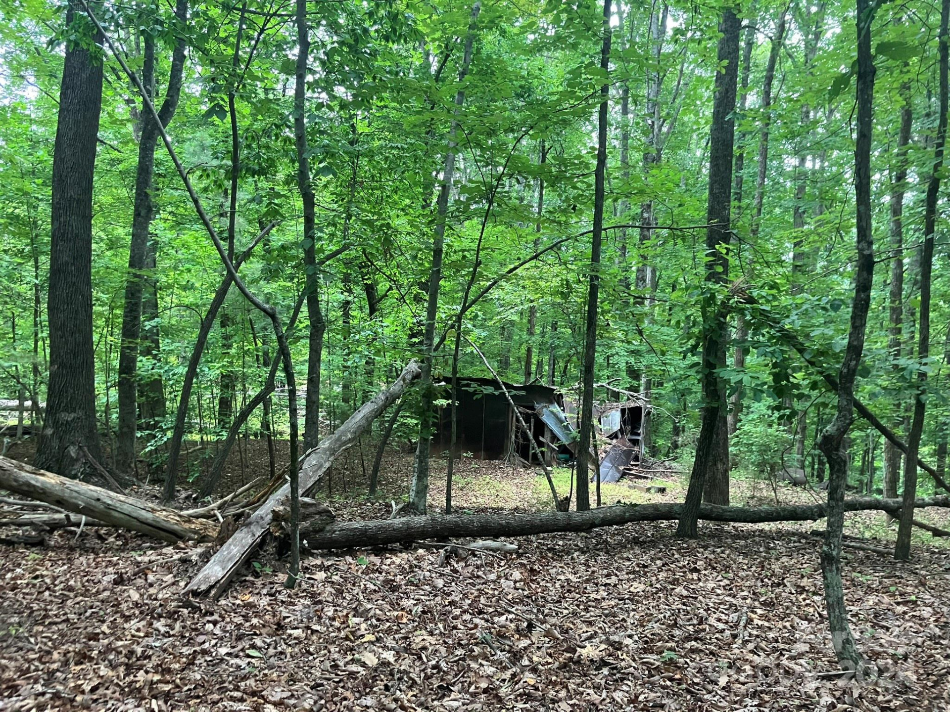 00 Saratoga Drive - Photo 14