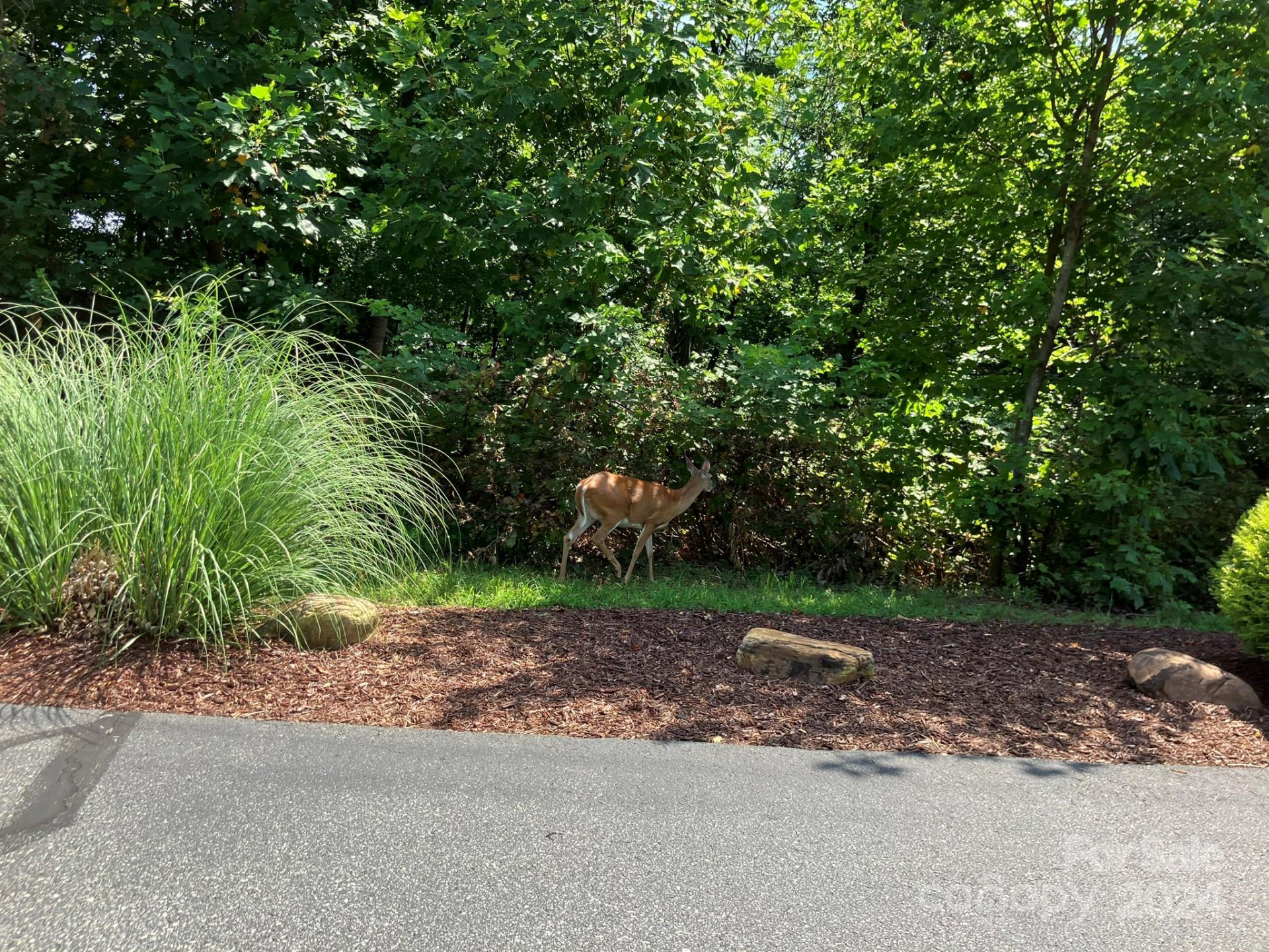 00 Saratoga Drive - Photo 17