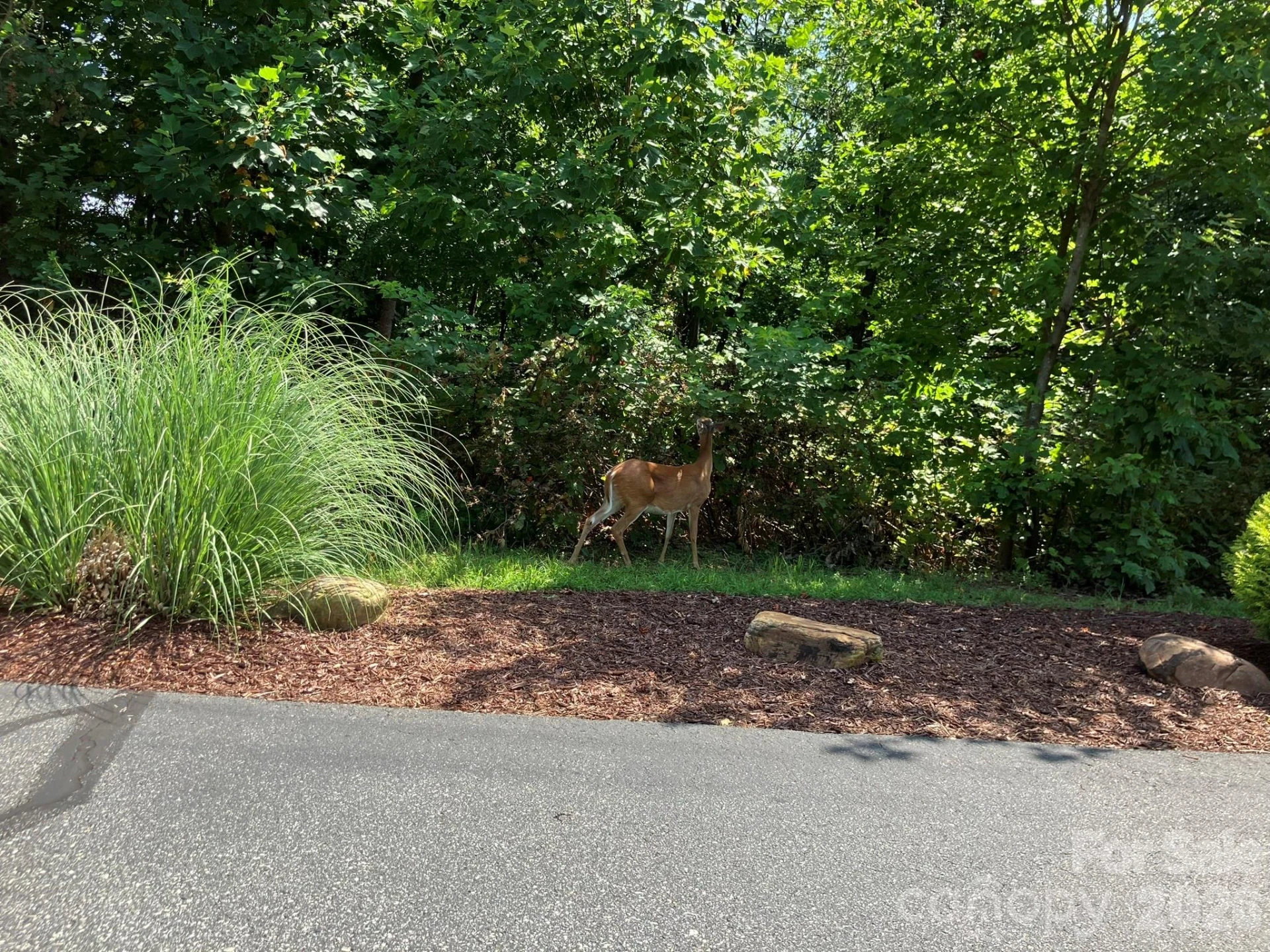 00 Saratoga Drive - Photo 33