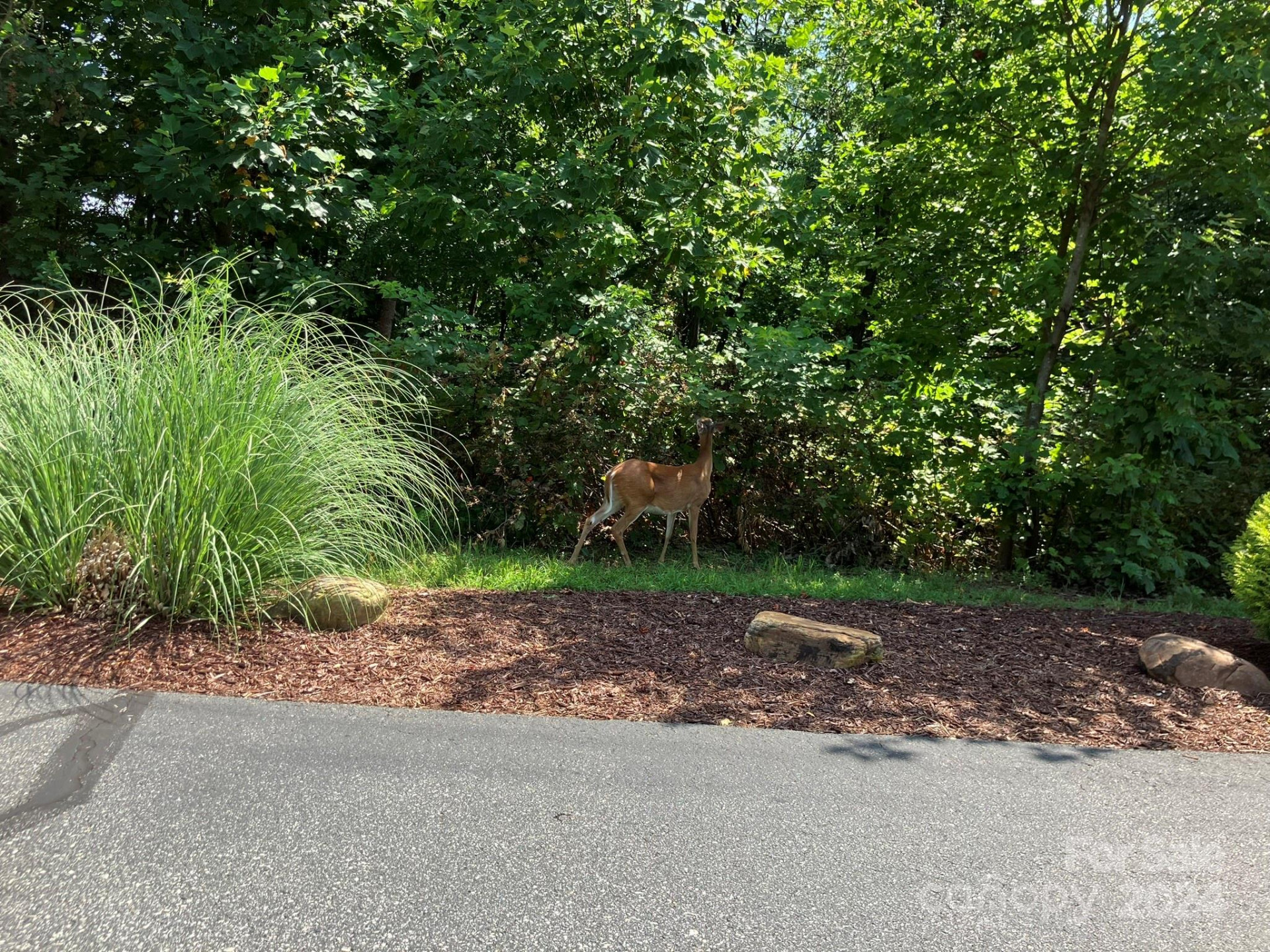 00 Saratoga Drive - Photo 18