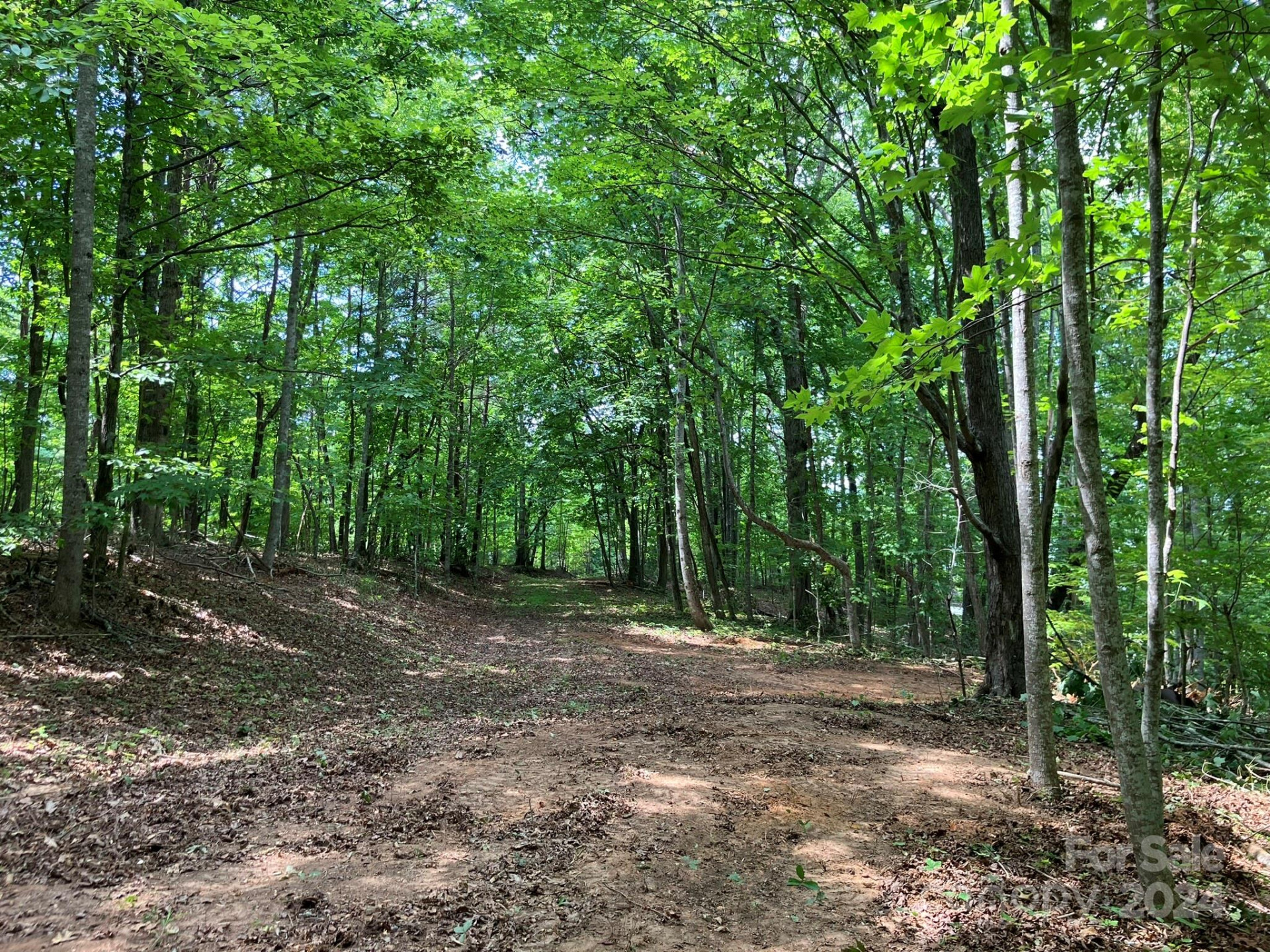 00 Saratoga Drive - Photo 7