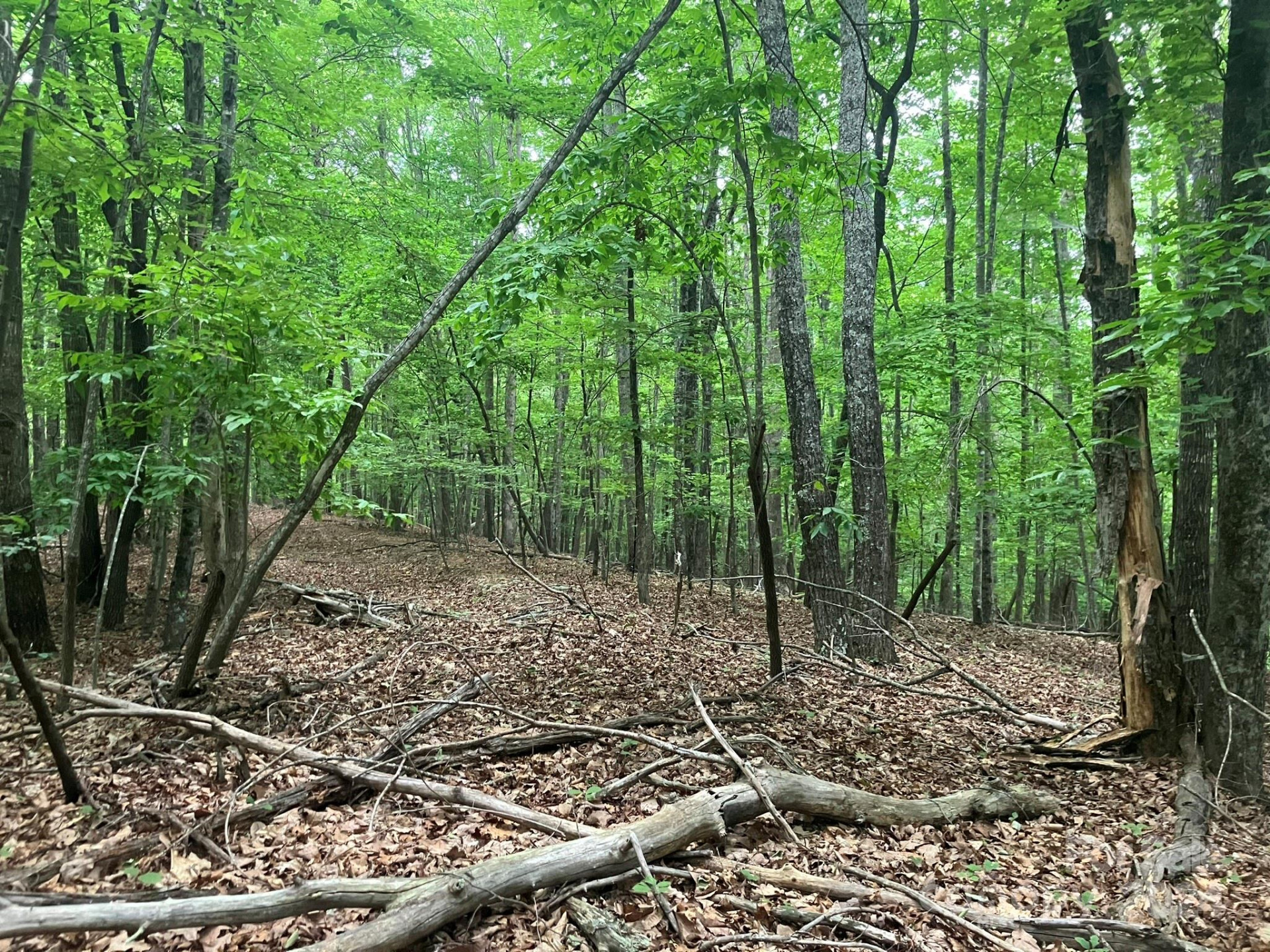 00 Saratoga Drive - Photo 8