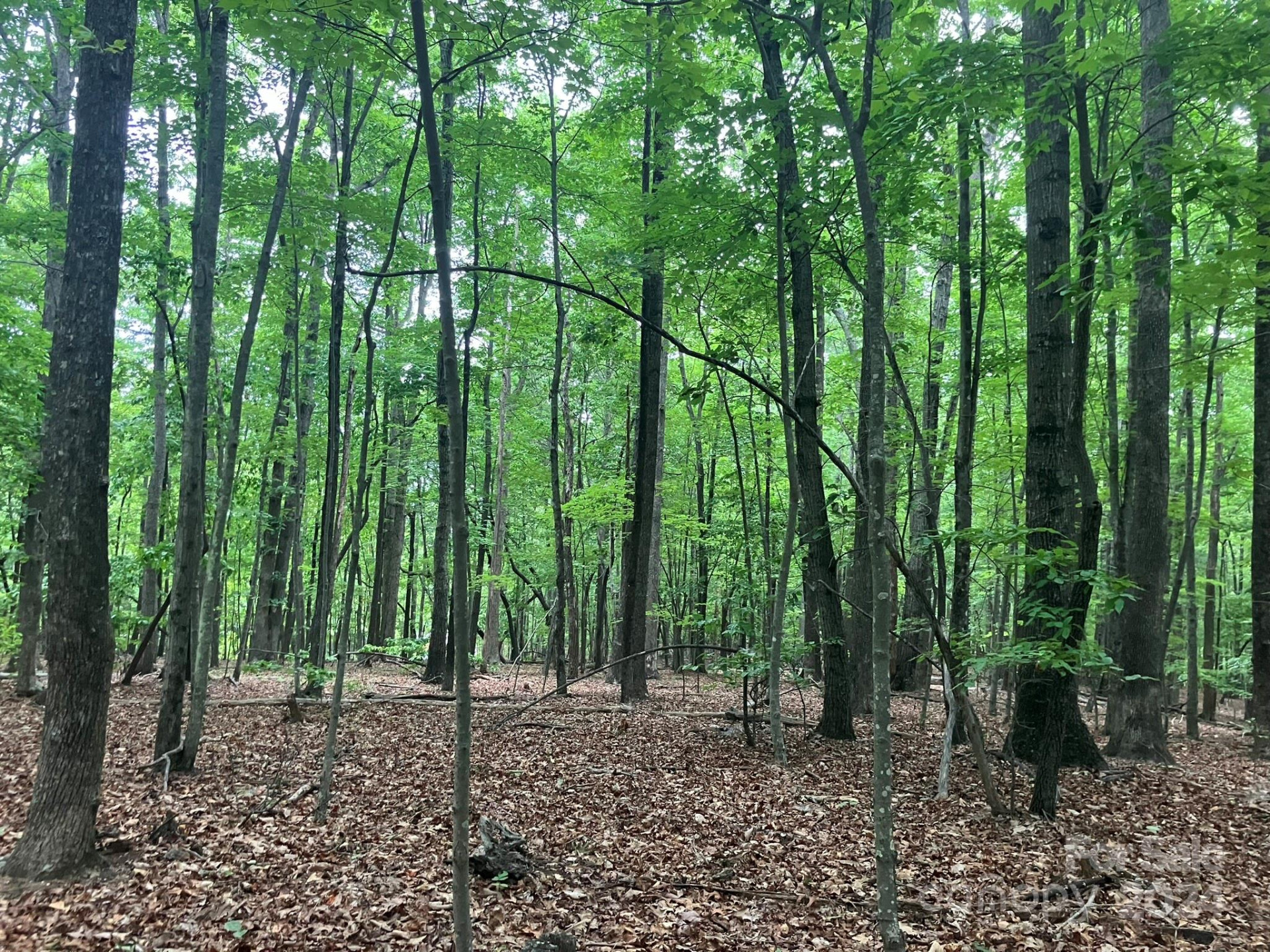 00 Saratoga Drive - Photo 9