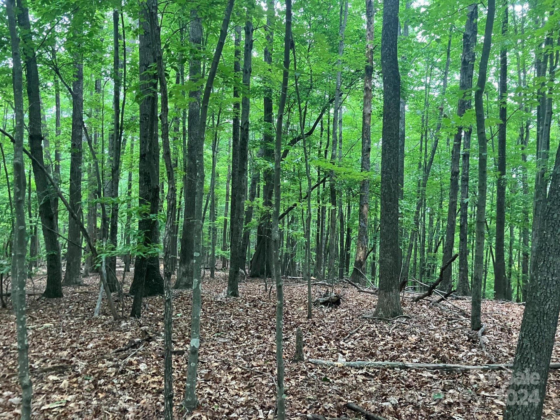 00 Saratoga Drive - Photo 10