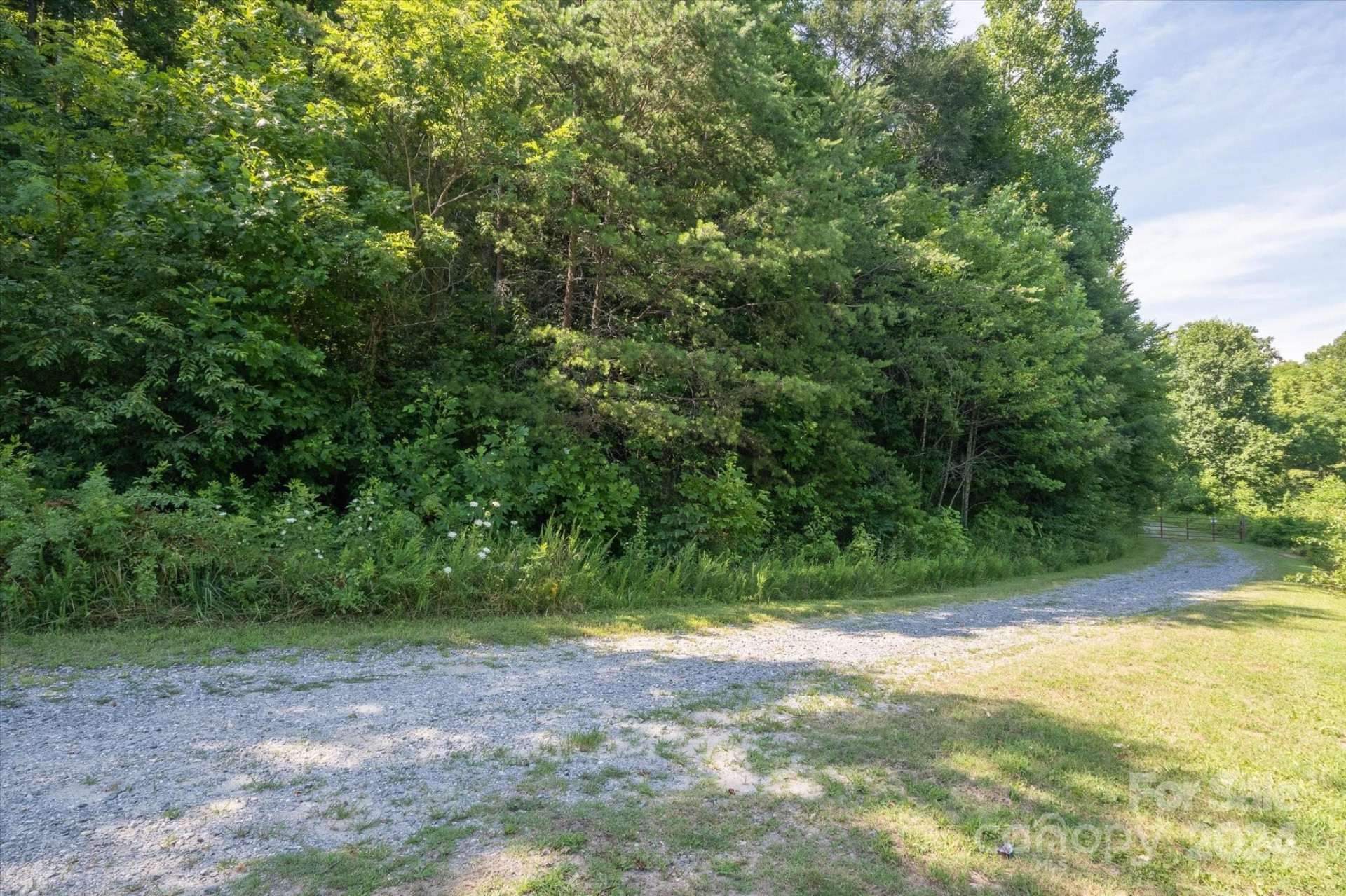 99999 Goose Creek Off Road - Photo 6