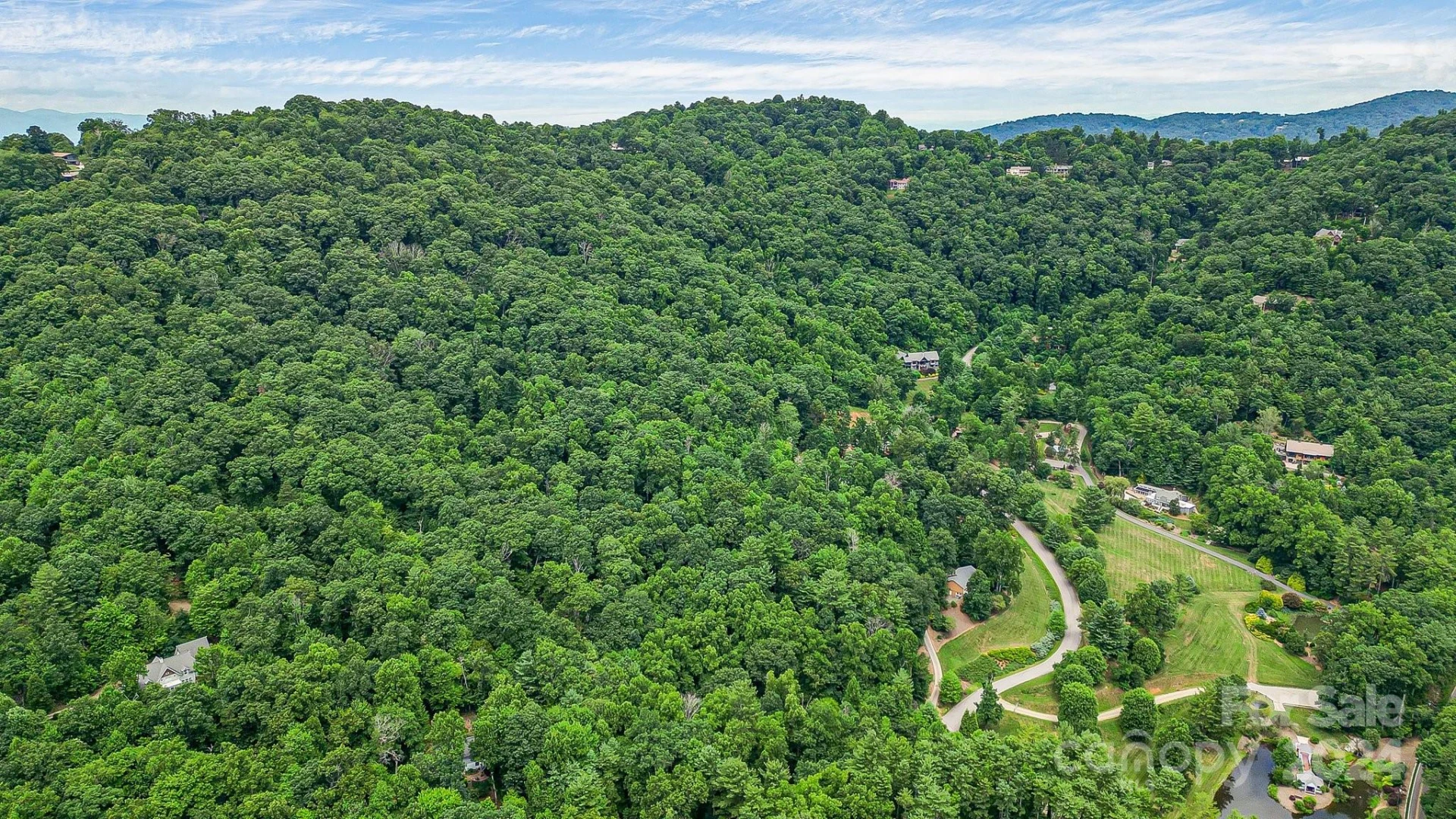 99999 Vance Gap Road - Photo 12