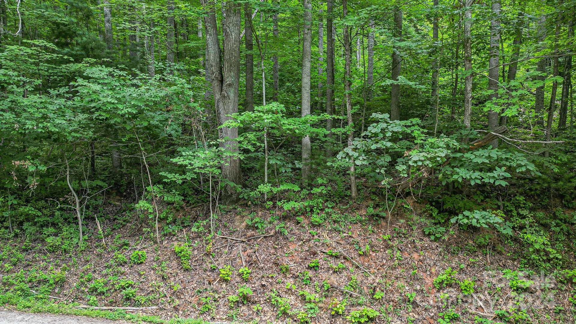 99999 Vance Gap Road - Photo 19