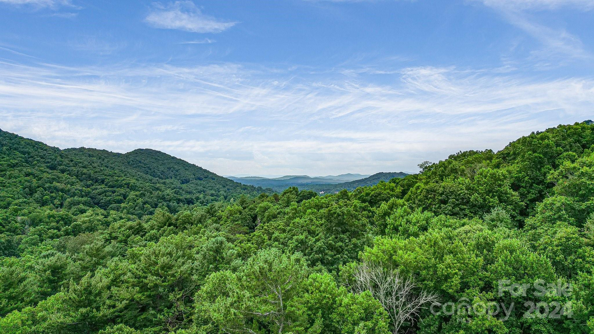 99999 Vance Gap Road - Photo 20