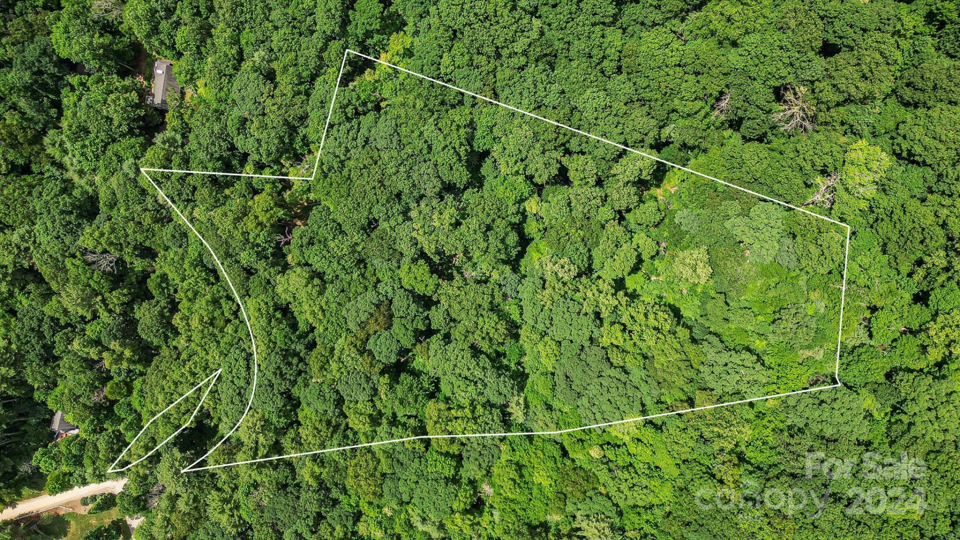 99999 Vance Gap Road - Photo 3