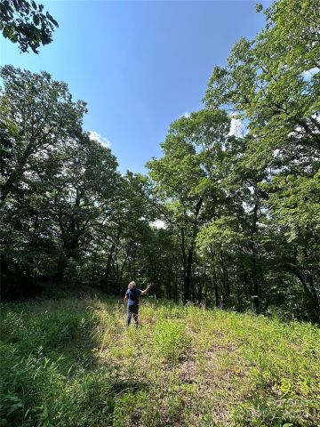 000 Destiny Farms Road, Leicester, NC, 28748