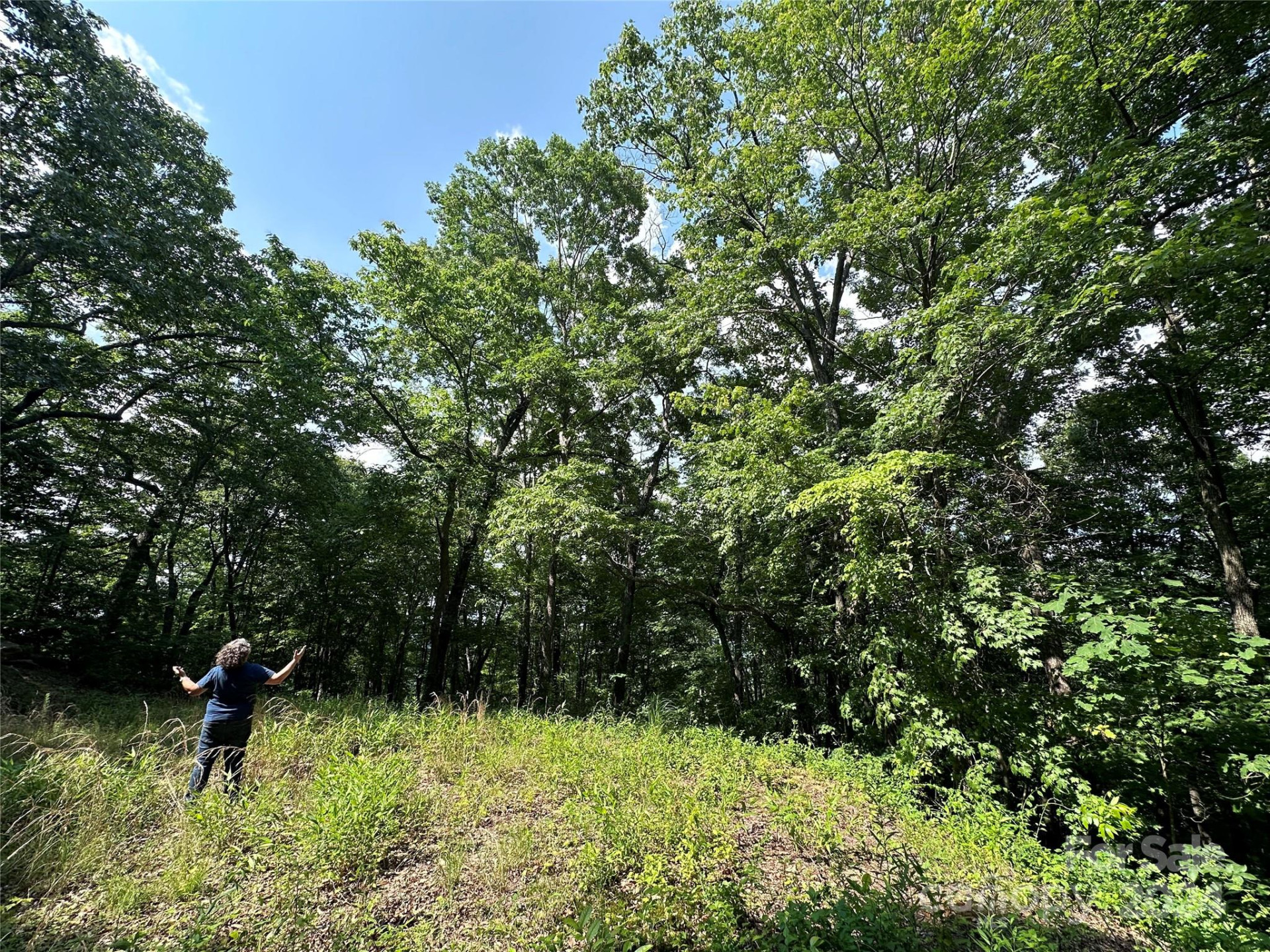 000 Destiny Farms Road - Photo 2