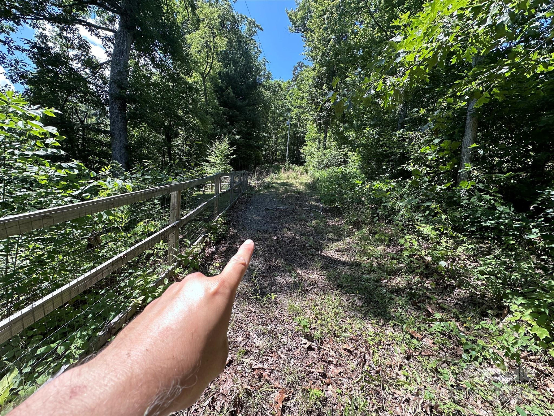 000 Destiny Farms Road - Photo 14