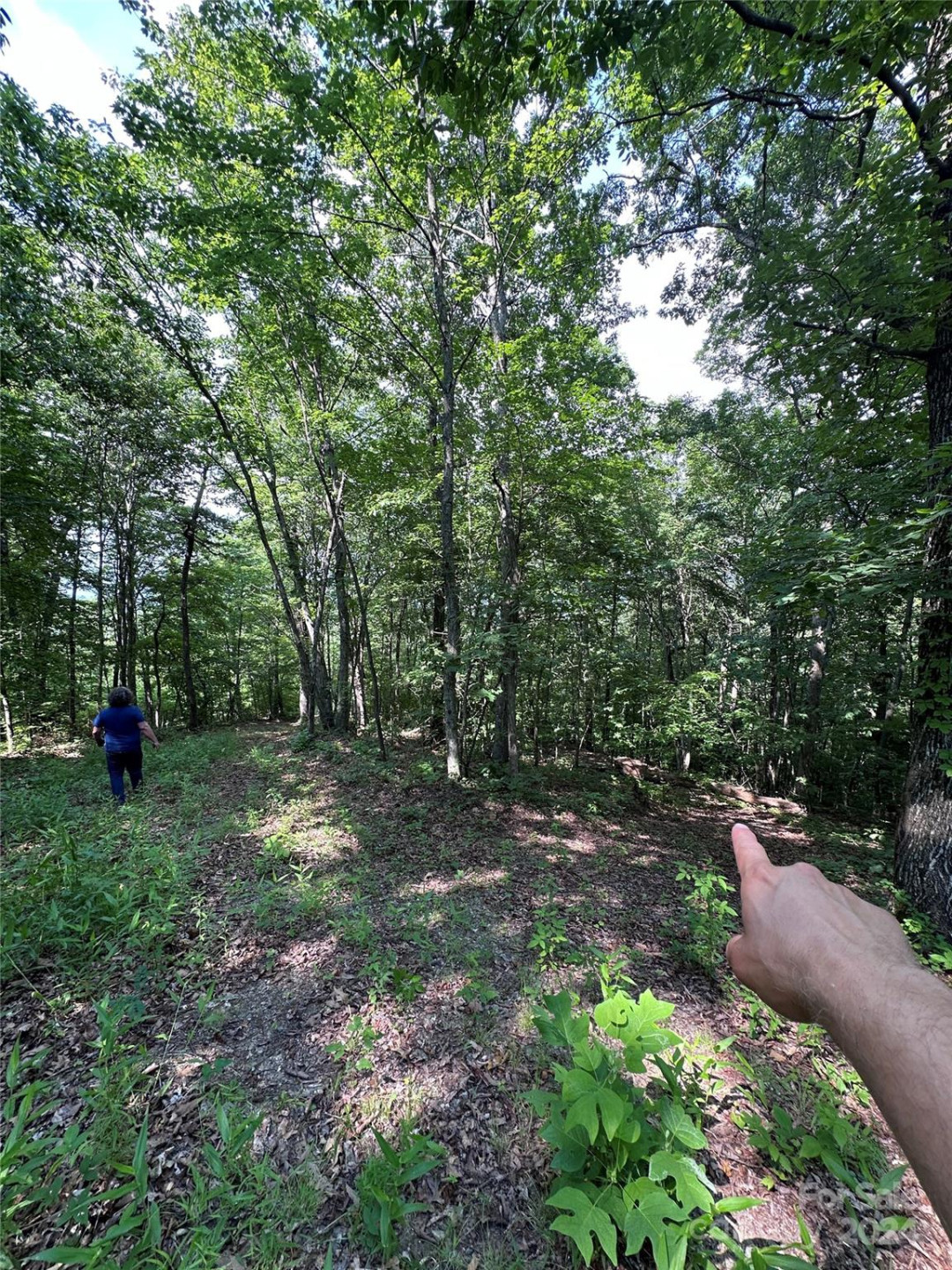 000 Destiny Farms Road - Photo 3