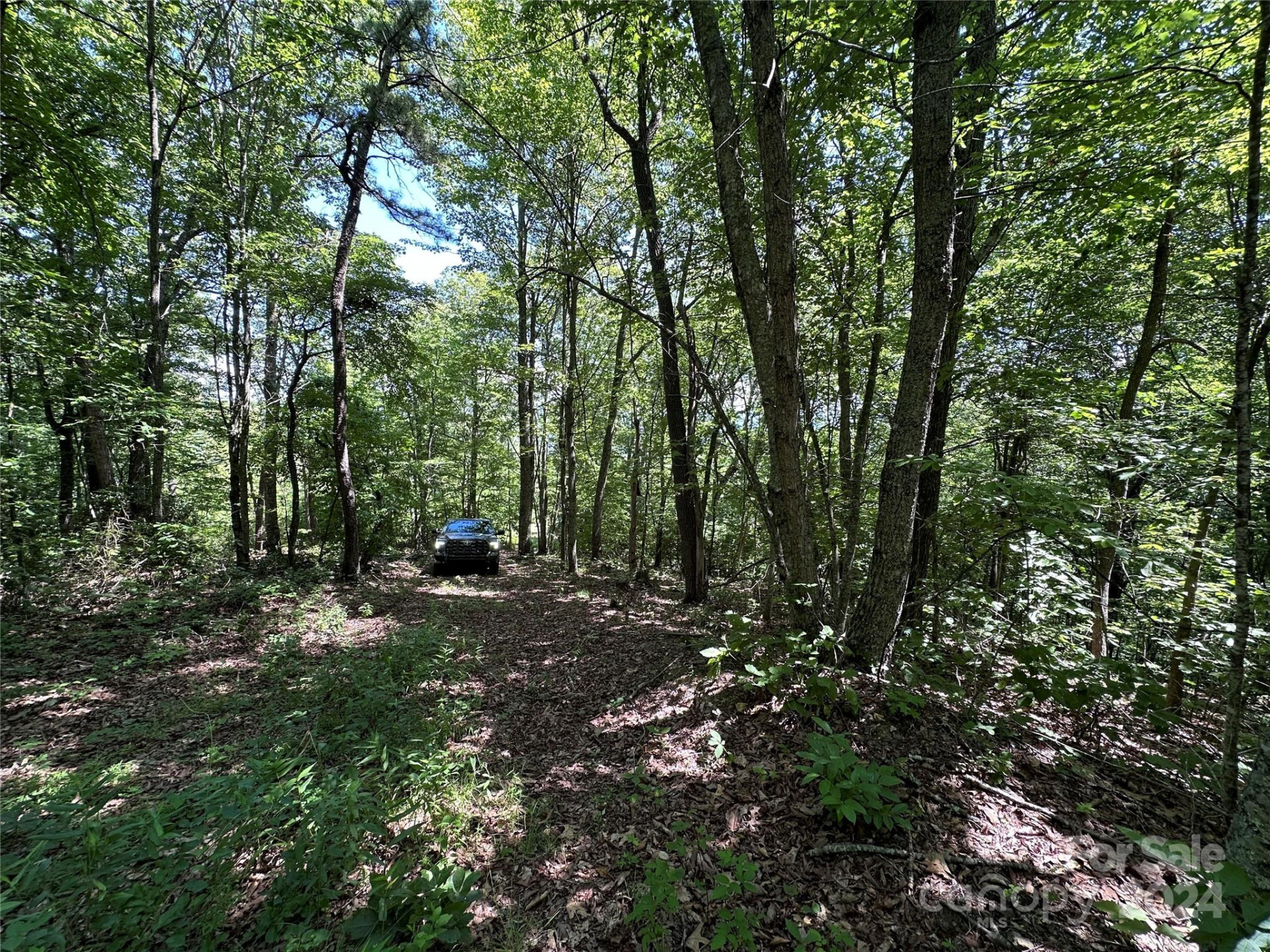 000 Destiny Farms Road - Photo 21