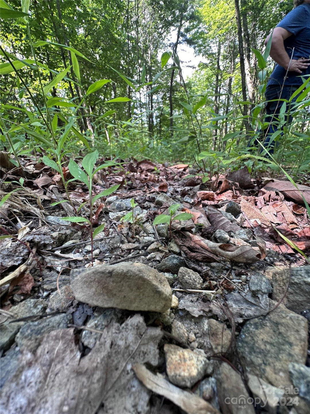 000 Destiny Farms Road - Photo 4