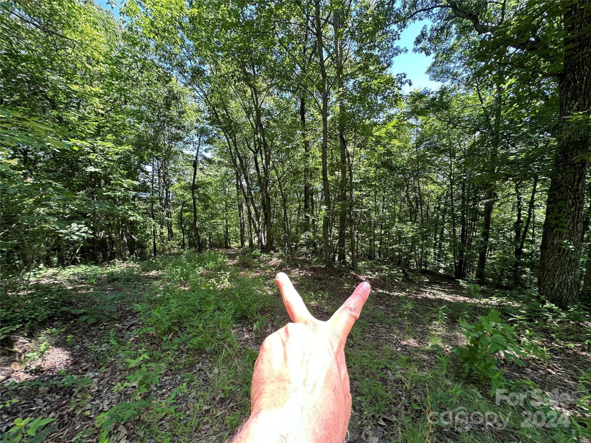 000 Destiny Farms Road - Photo 34