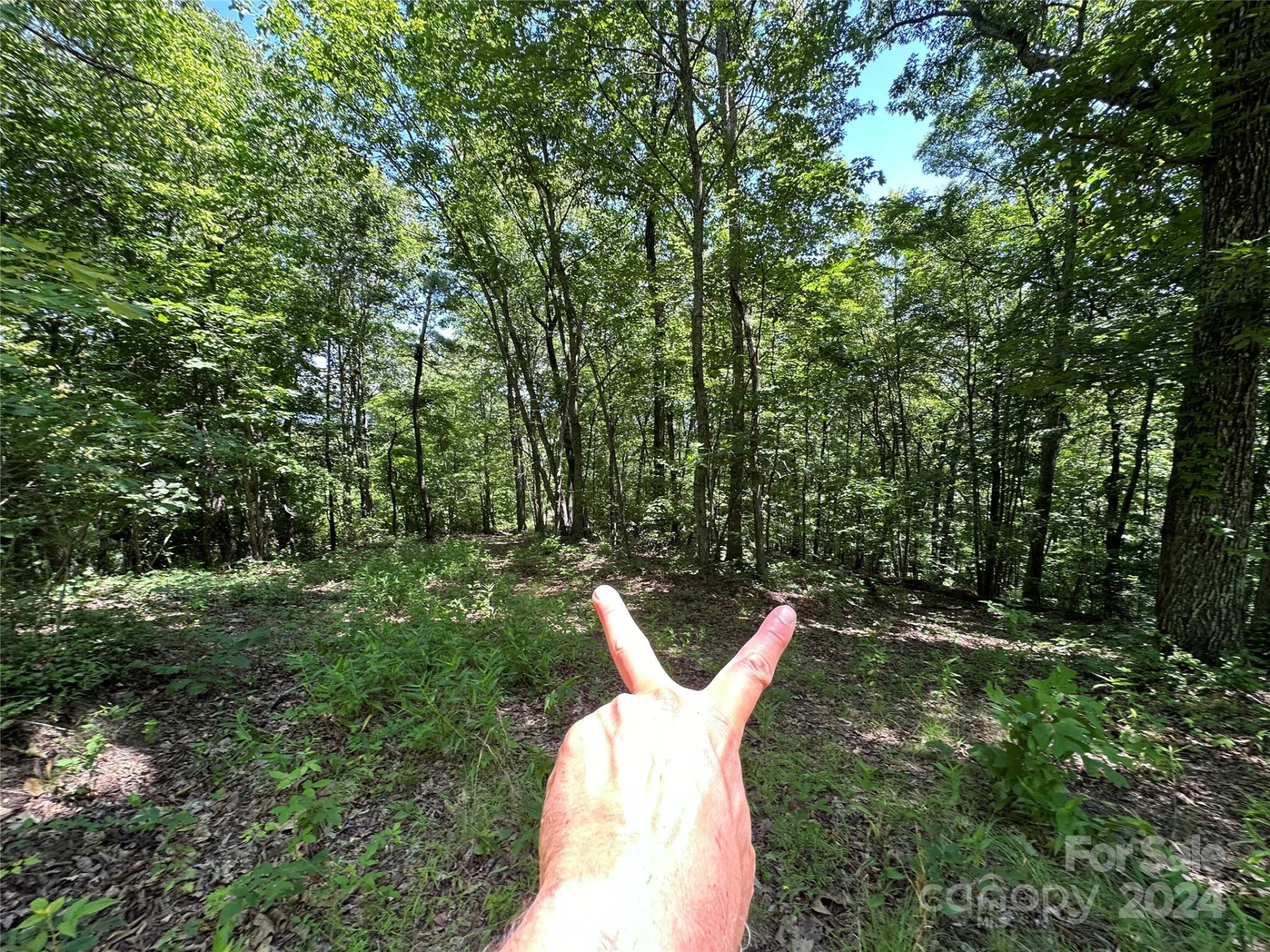 000 Destiny Farms Road - Photo 34