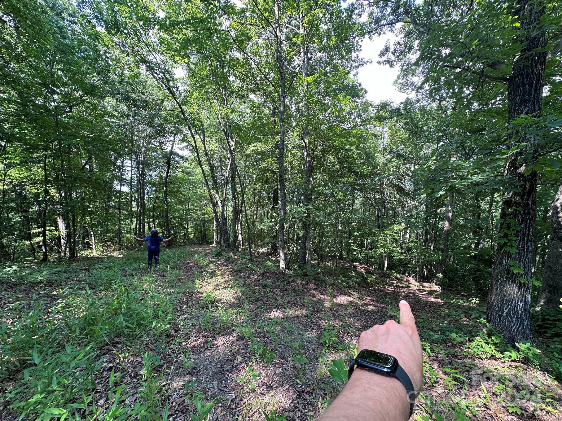 000 Destiny Farms Road - Photo 5