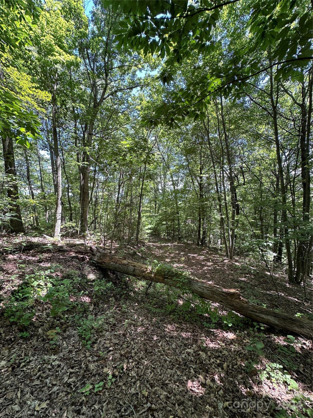 000 Destiny Farms Road - Photo 43