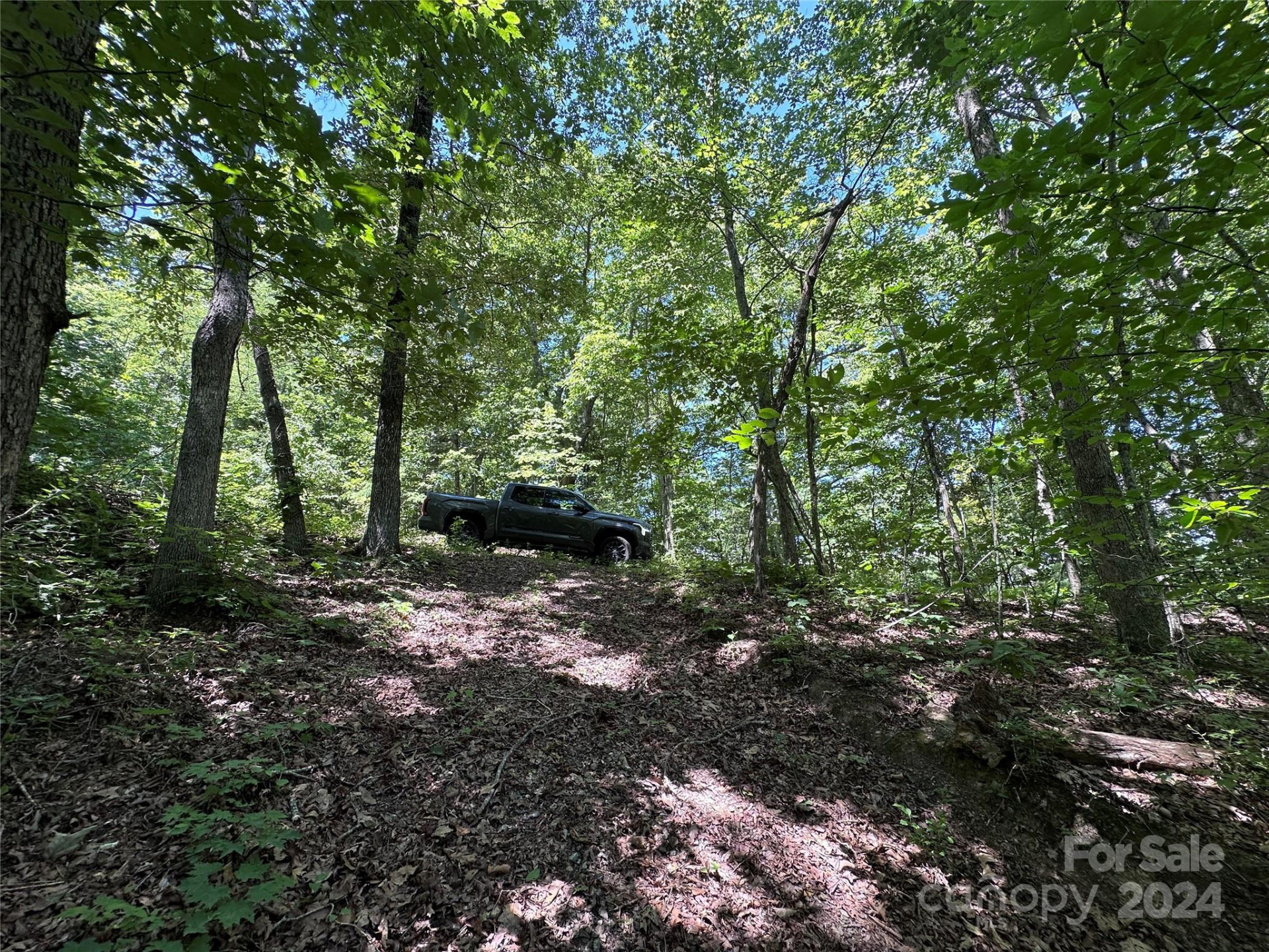 000 Destiny Farms Road - Photo 44