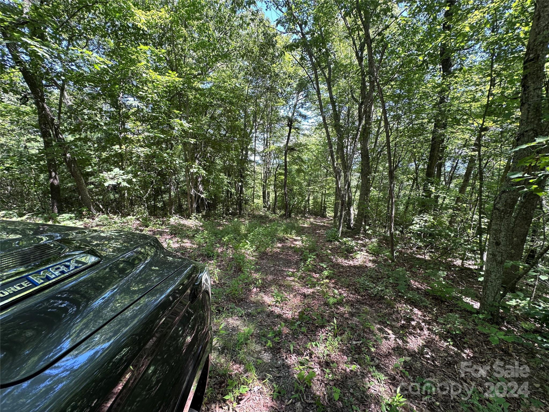 000 Destiny Farms Road - Photo 48