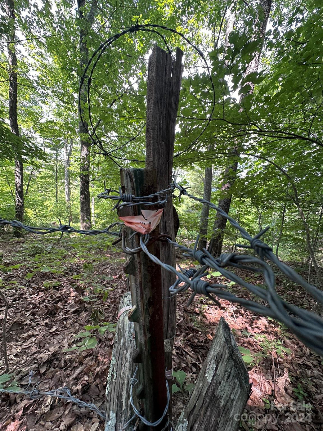 000 Destiny Farms Road - Photo 6