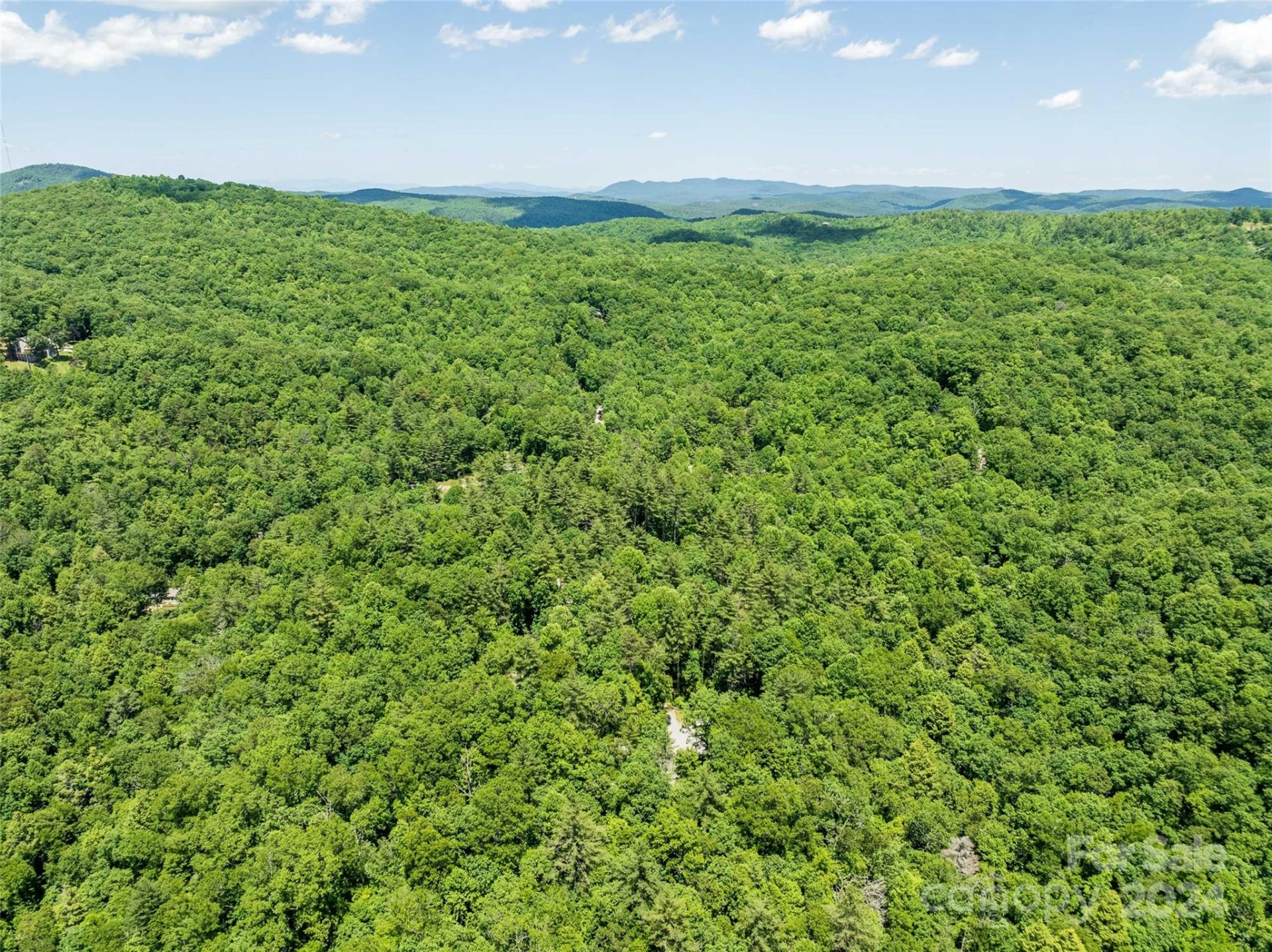 78 Smiling Fox Trail