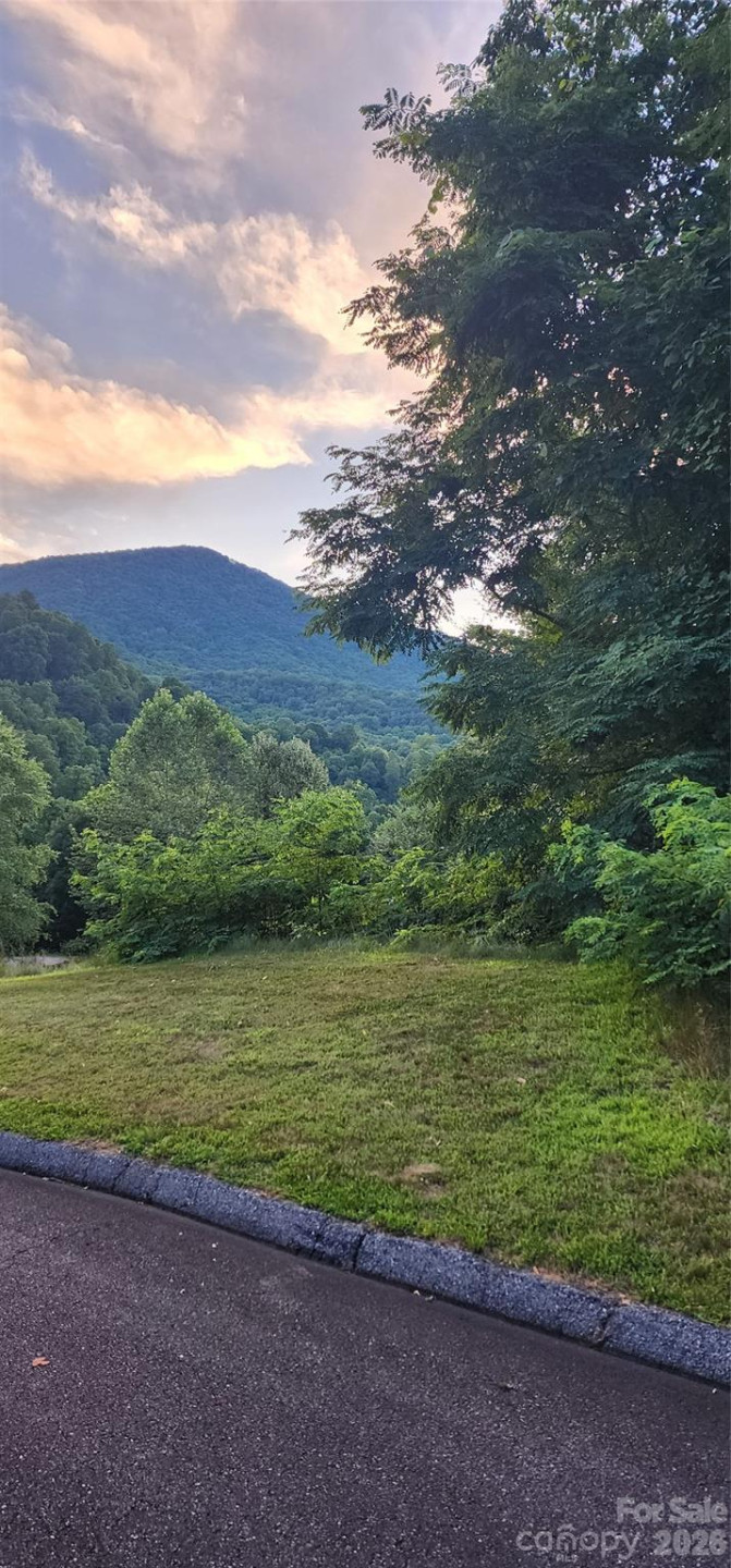 1-3 King Horn Ridge - Photo 2