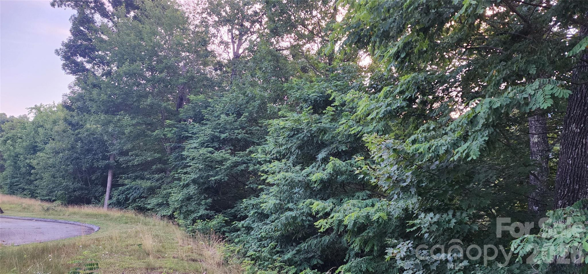 1-3 King Horn Ridge - Photo 11