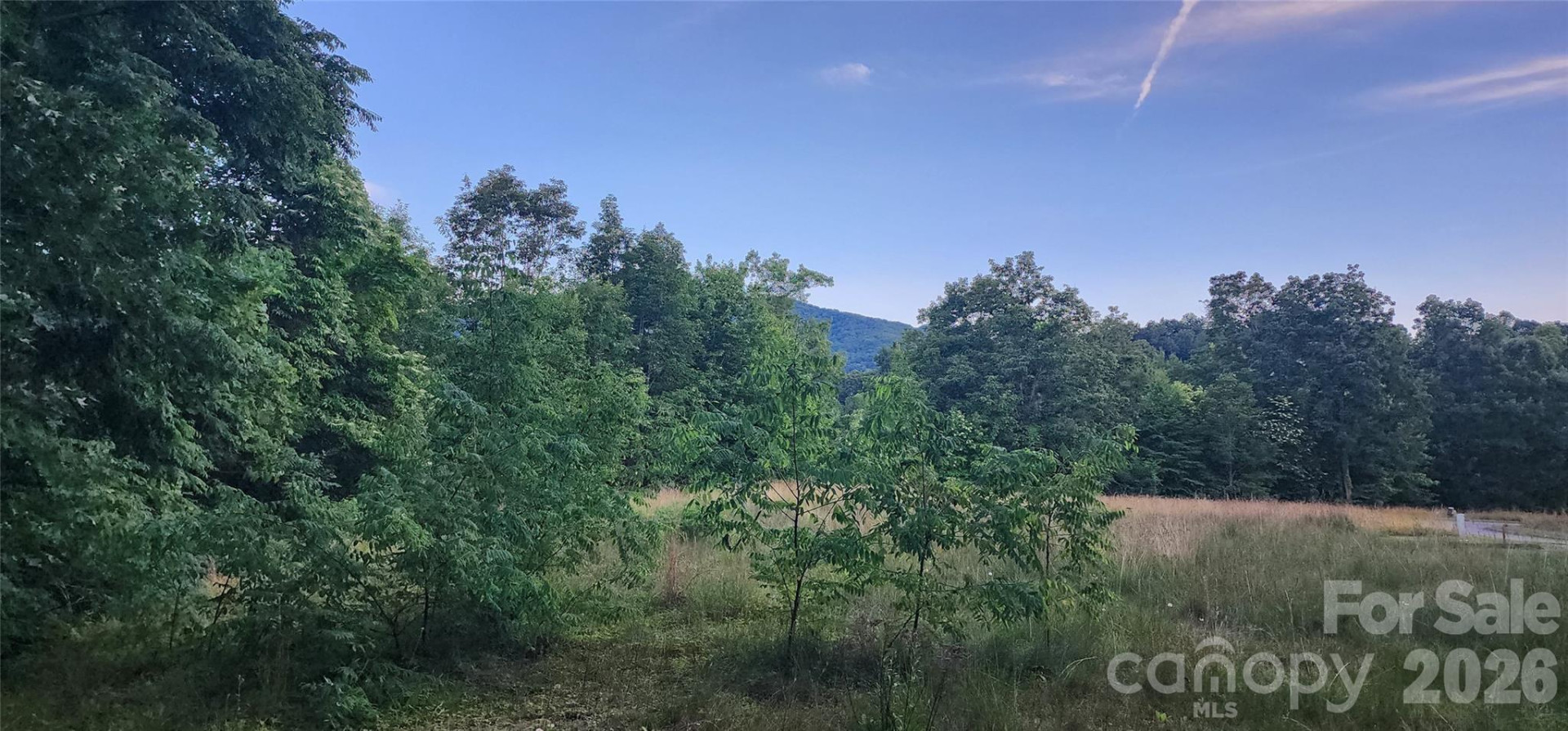 1-3 King Horn Ridge - Photo 12