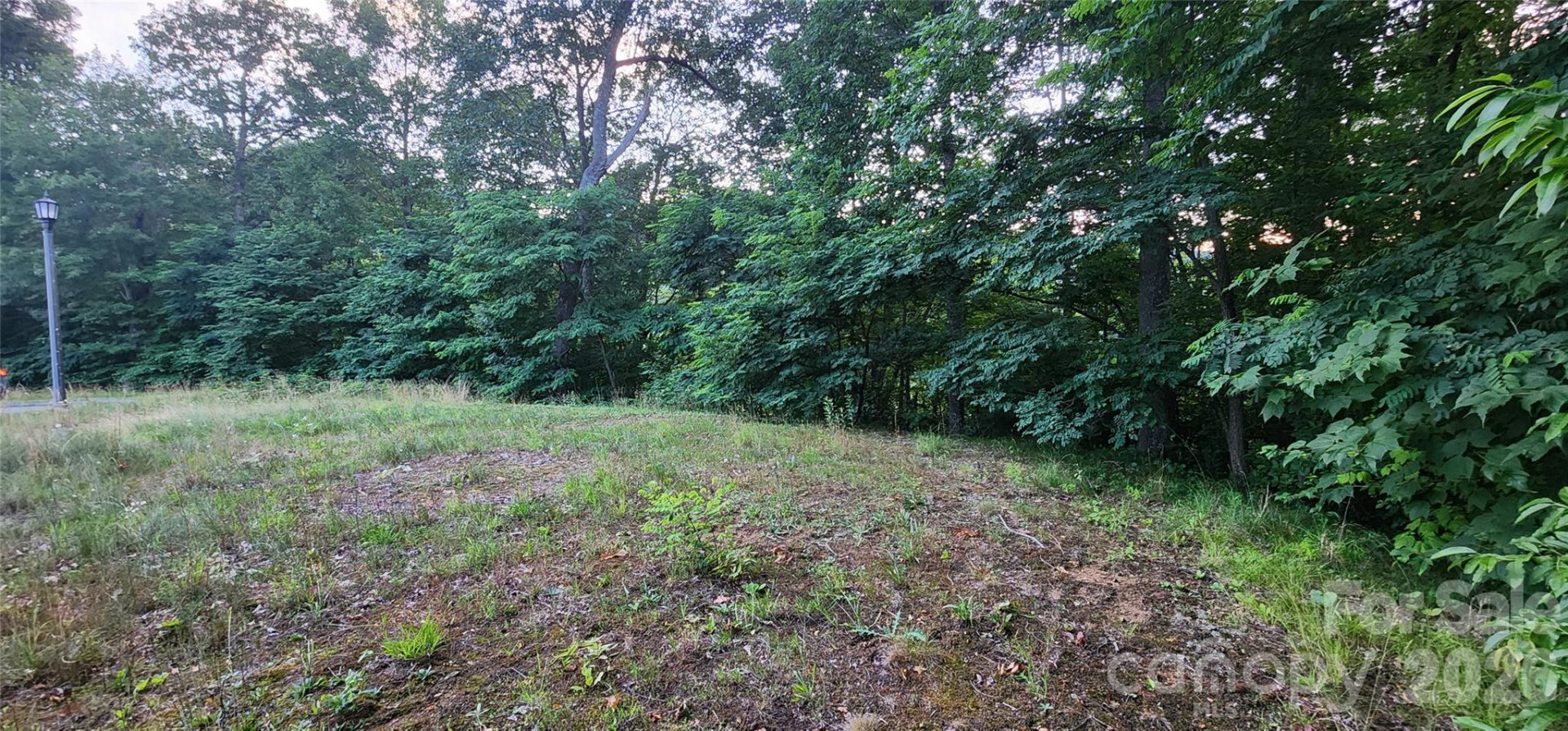 1-3 King Horn Ridge - Photo 13