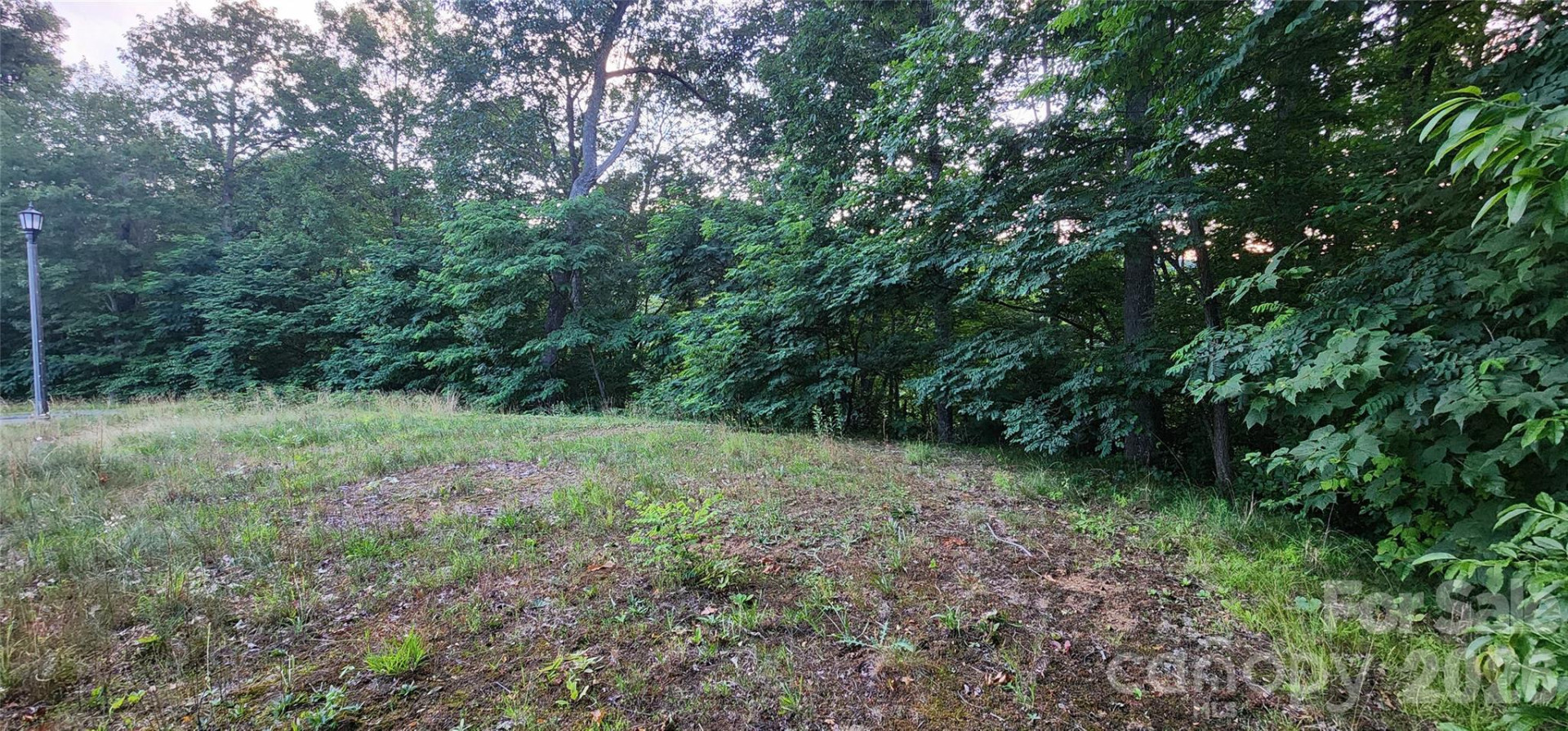 1-3 King Horn Ridge - Photo 14