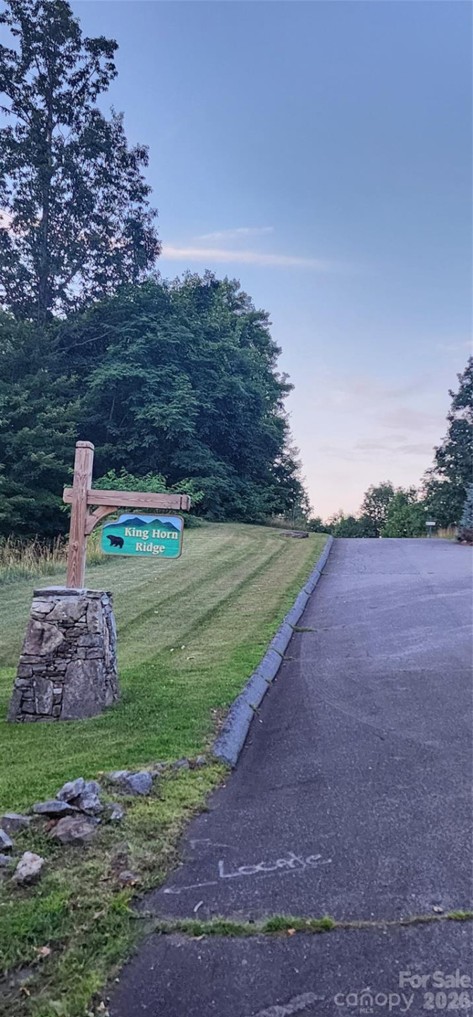 1-3 King Horn Ridge - Photo 16