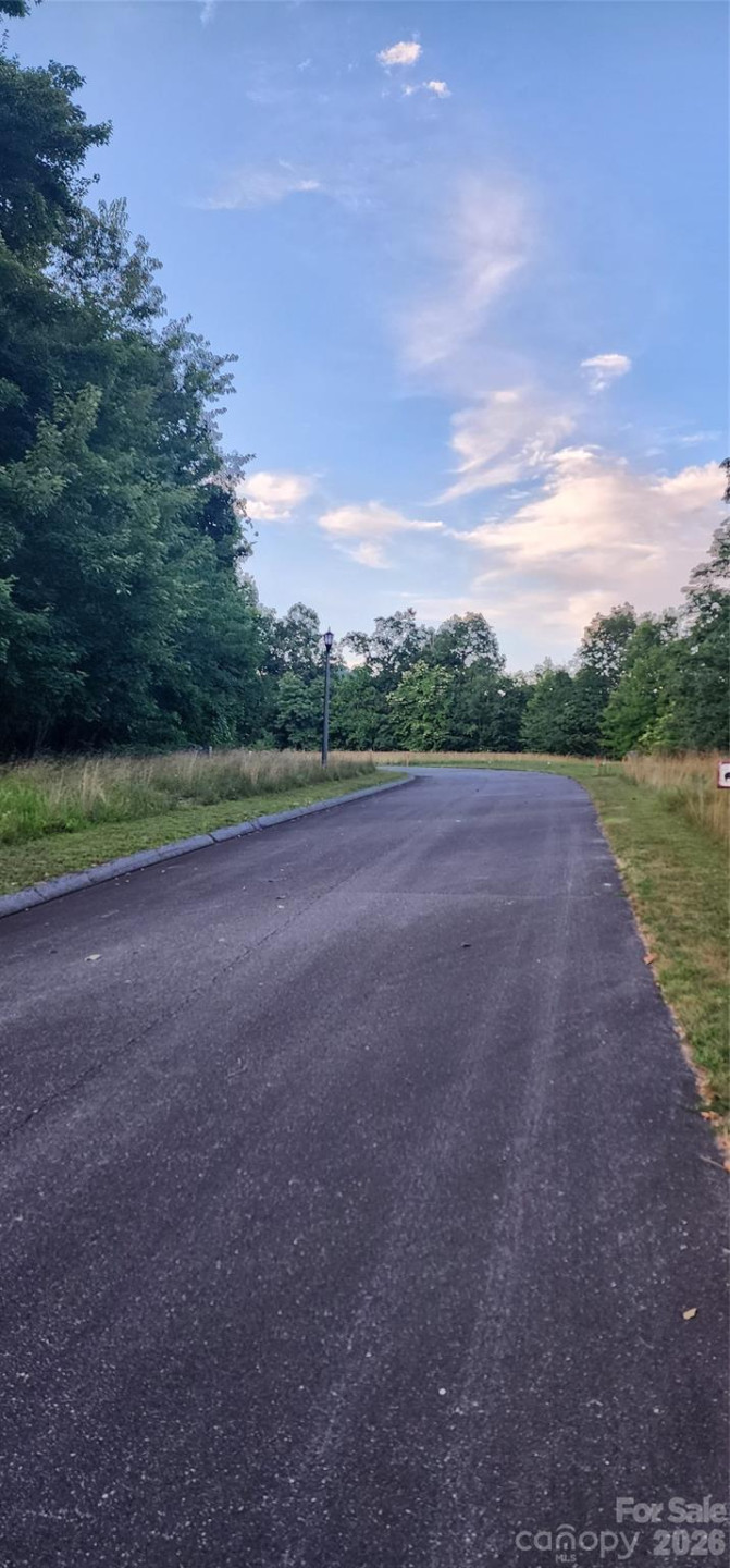 1-3 King Horn Ridge - Photo 3