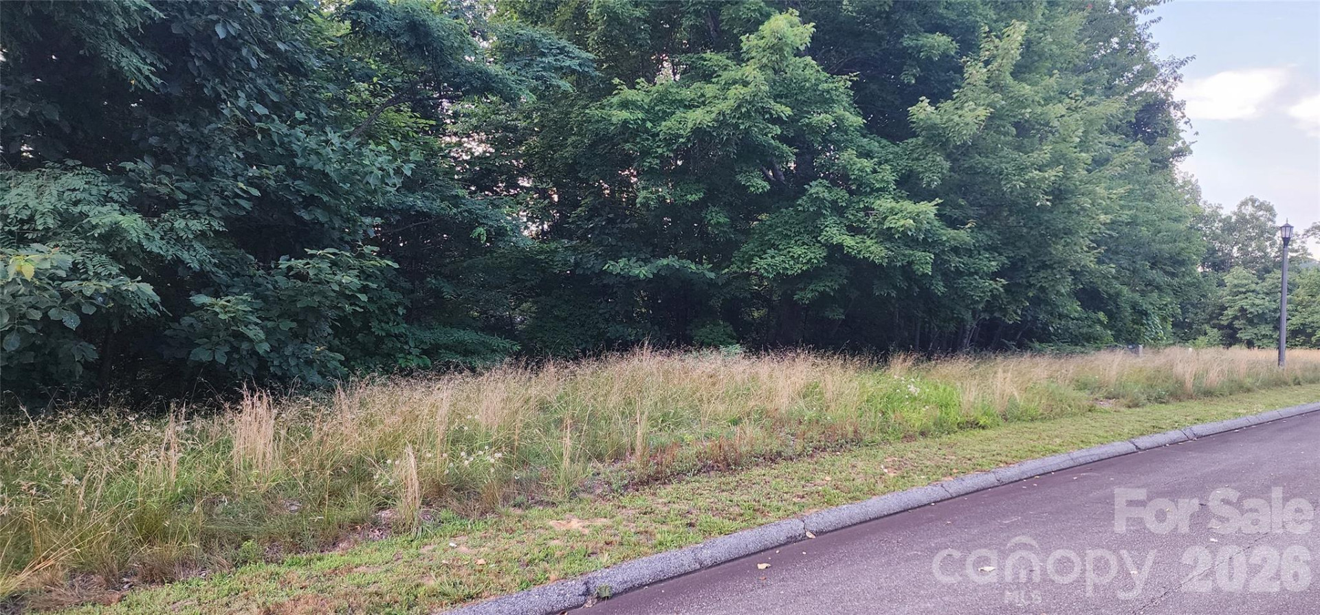 1-3 King Horn Ridge - Photo 4