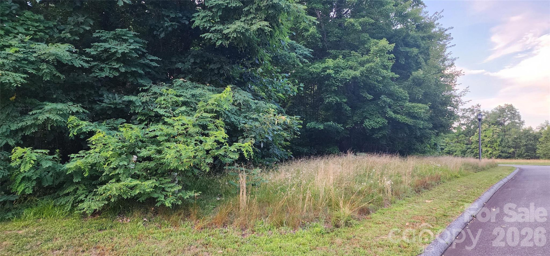 1-3 King Horn Ridge - Photo 5