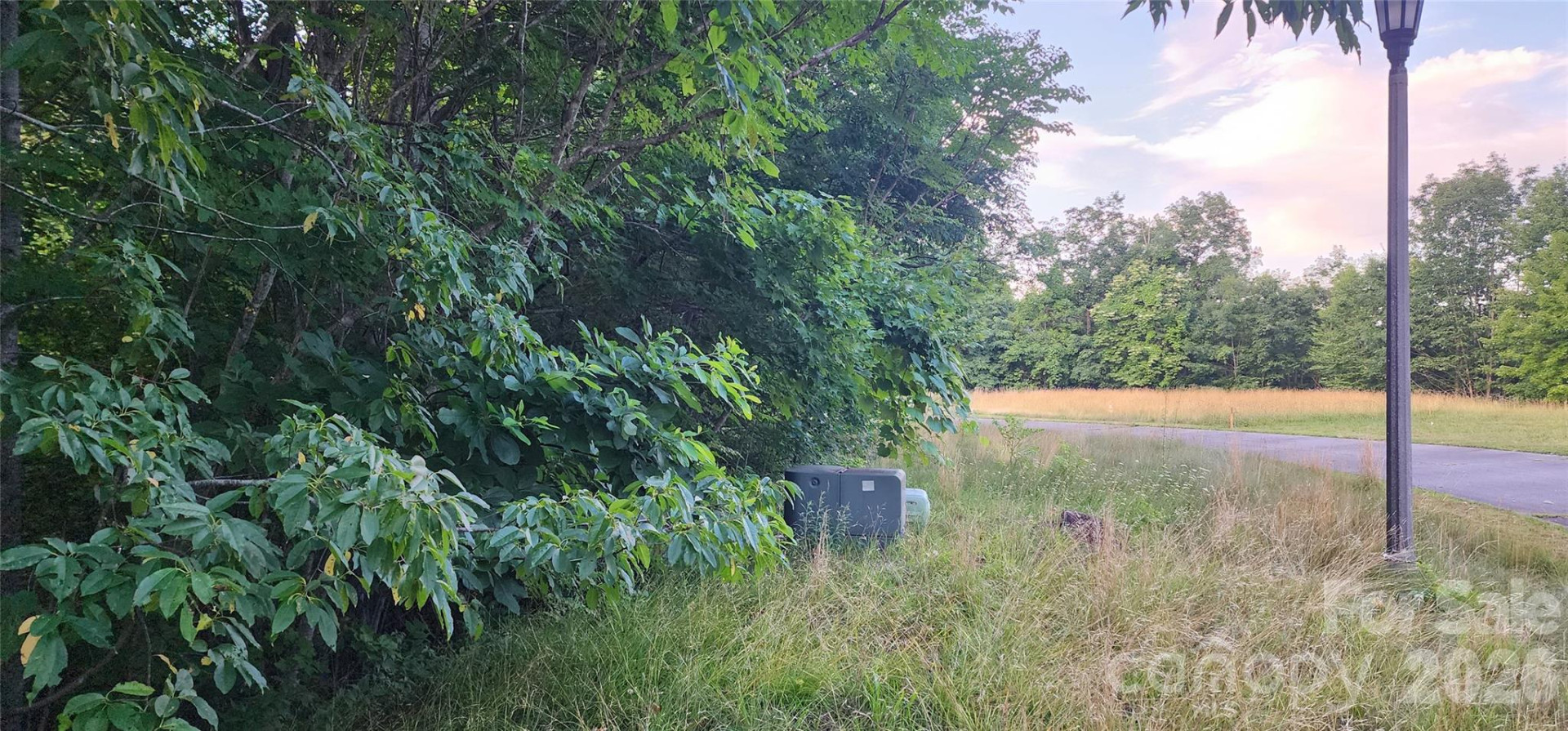 1-3 King Horn Ridge - Photo 6