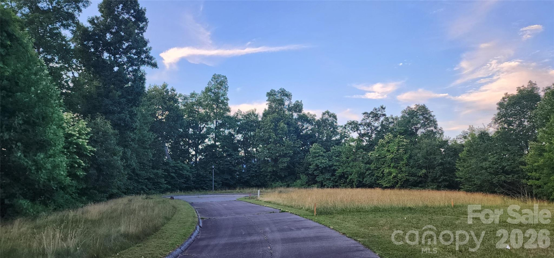 1-3 King Horn Ridge - Photo 7