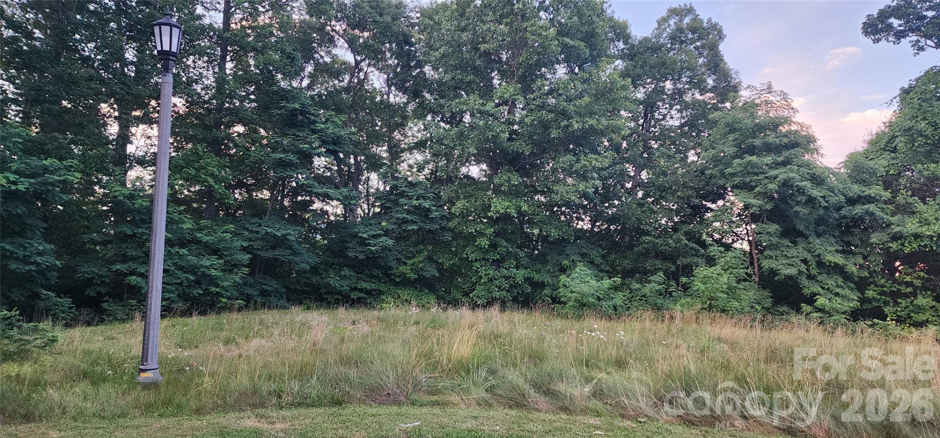 1-3 King Horn Ridge - Photo 8