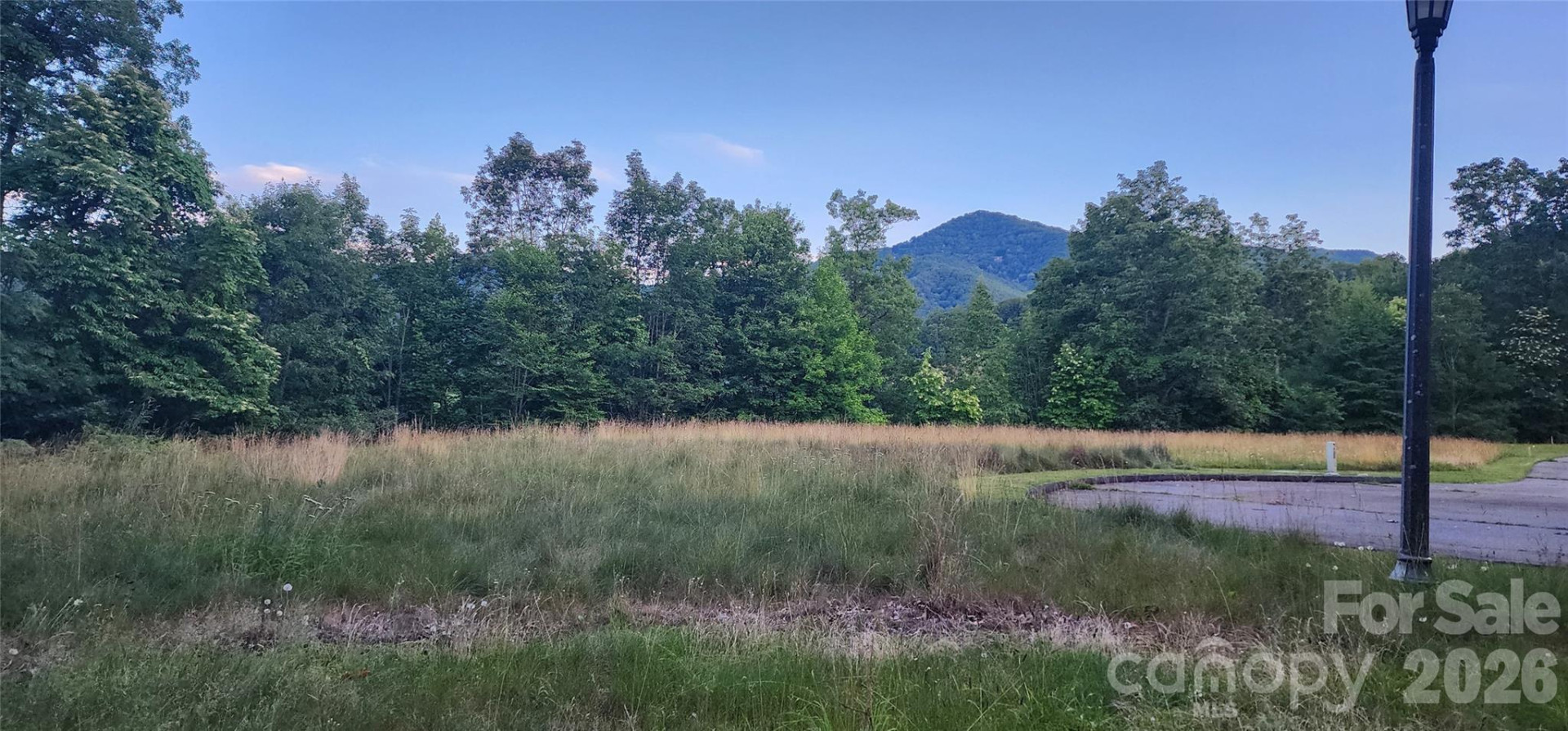 1-3 King Horn Ridge - Photo 9