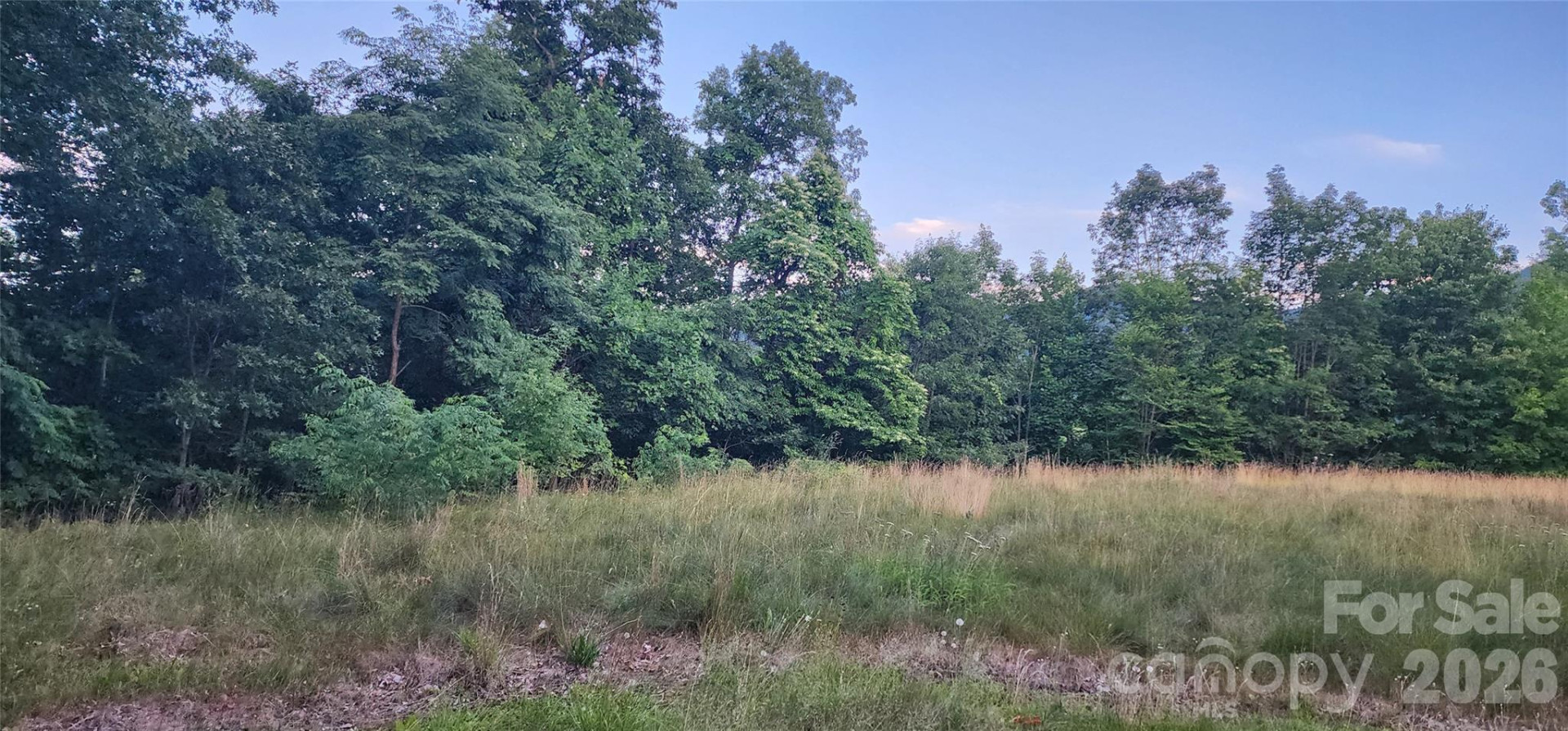 1-3 King Horn Ridge - Photo 10