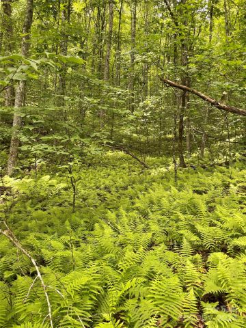 25 Rainbow Trout Drive, Tuckasegee, NC, 28783