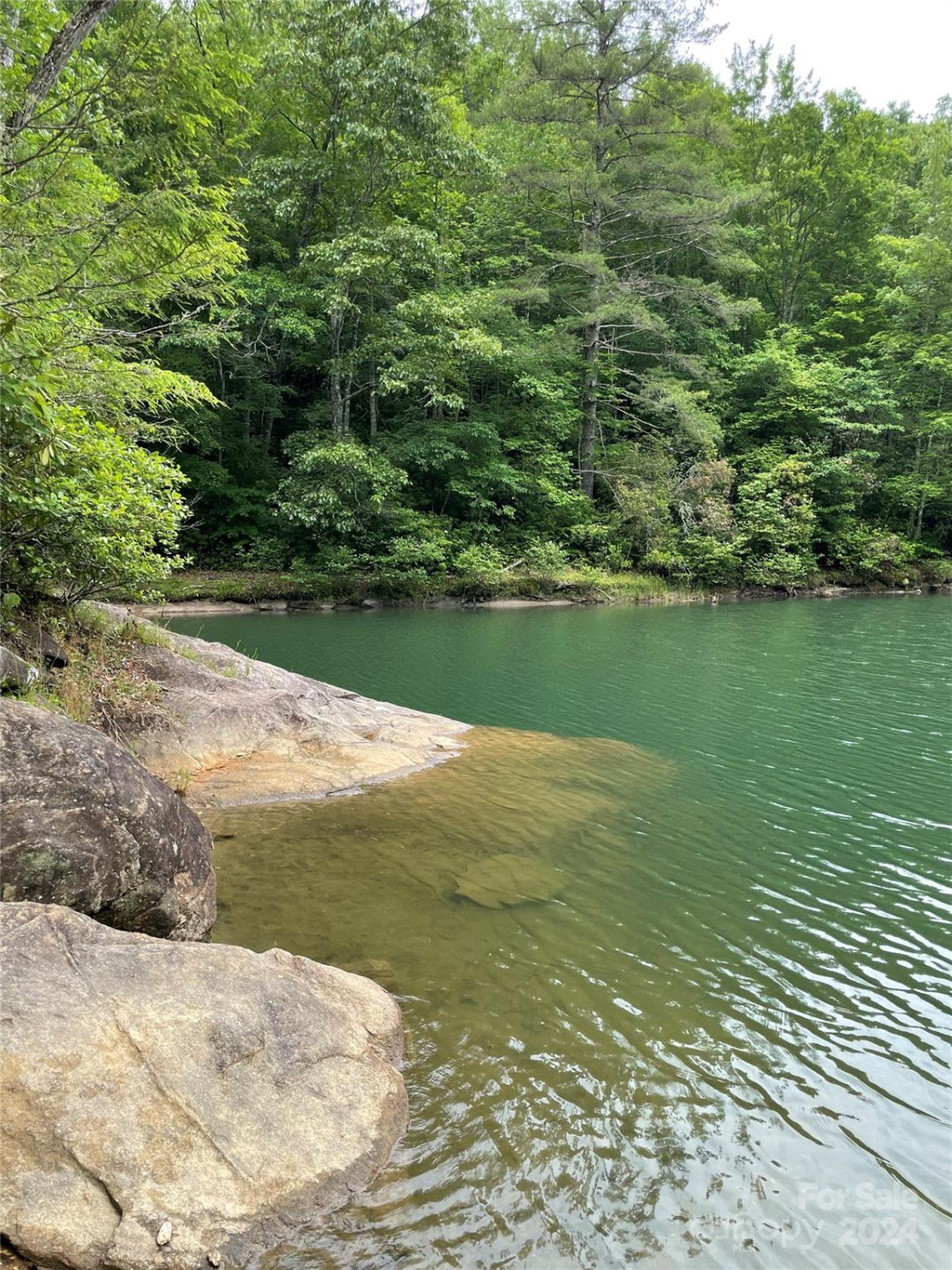 25 Rainbow Trout Drive #25 - Photo 12