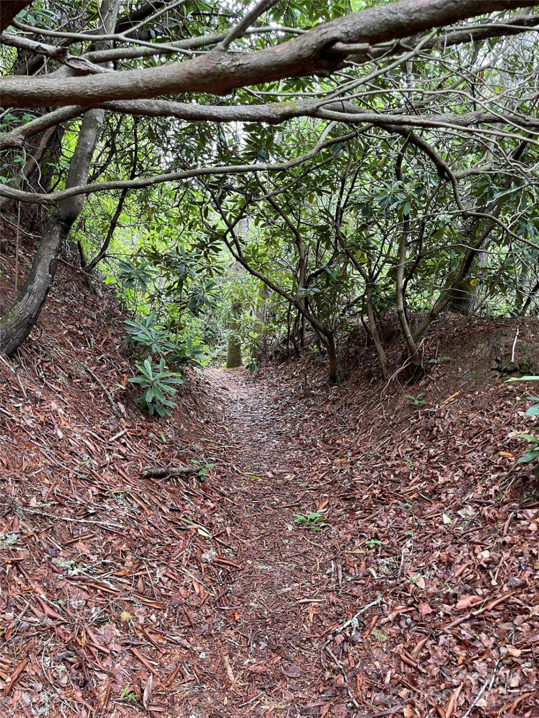 25 Rainbow Trout Drive #25 - Photo 13